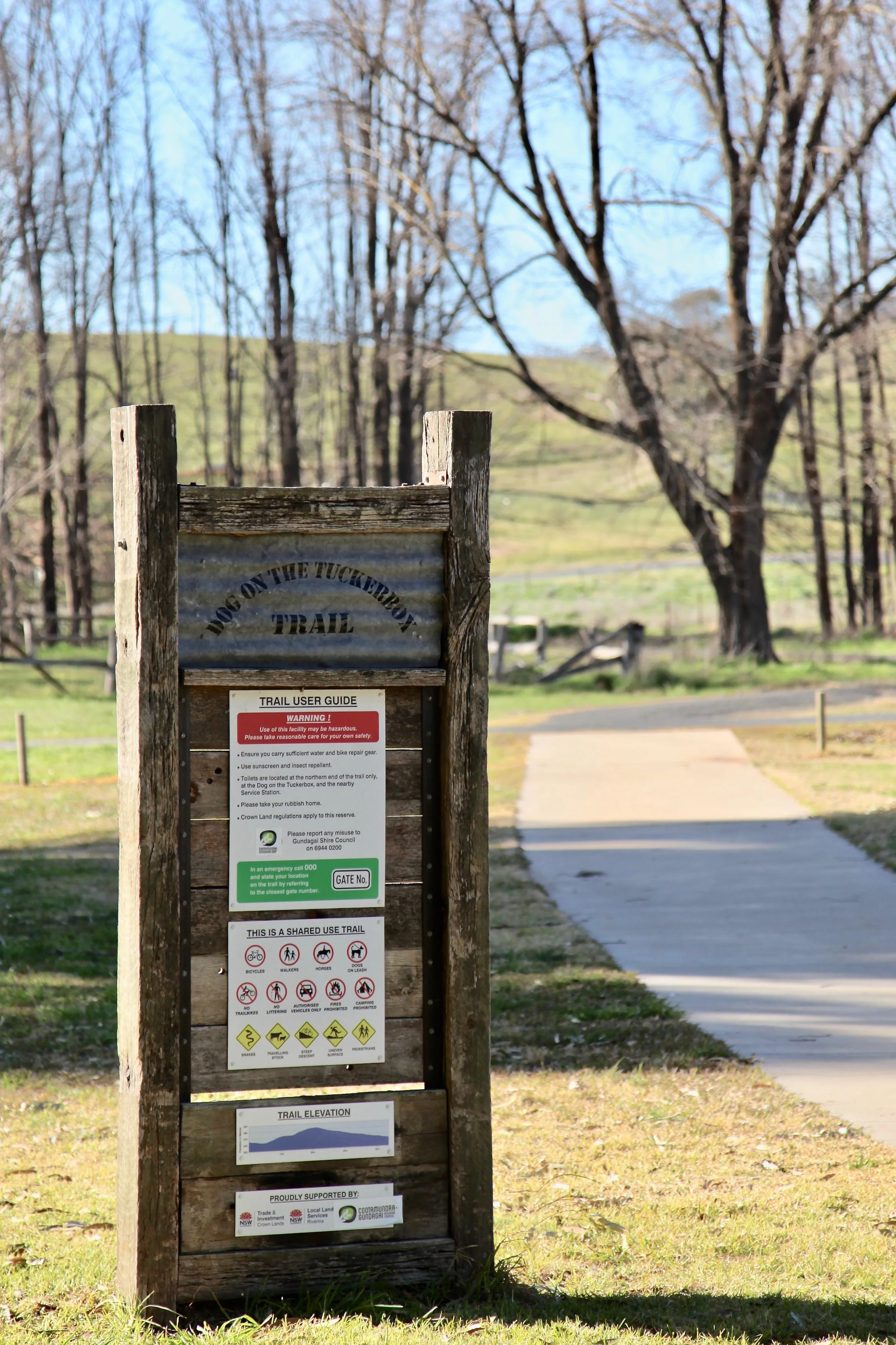dog-on-the-tuckerbox-trail.jpg