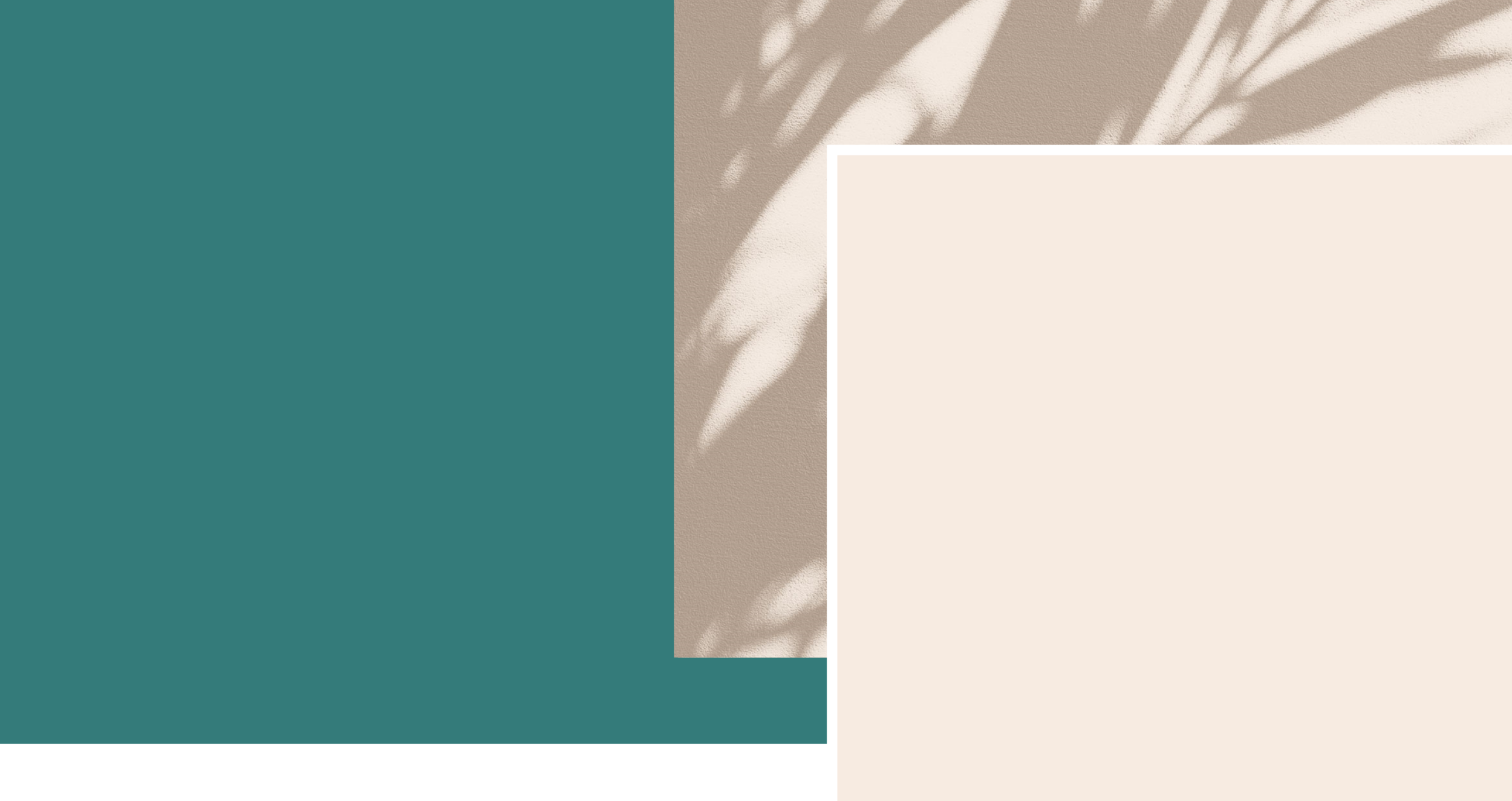 1_Services_Intro Banner@2x.png