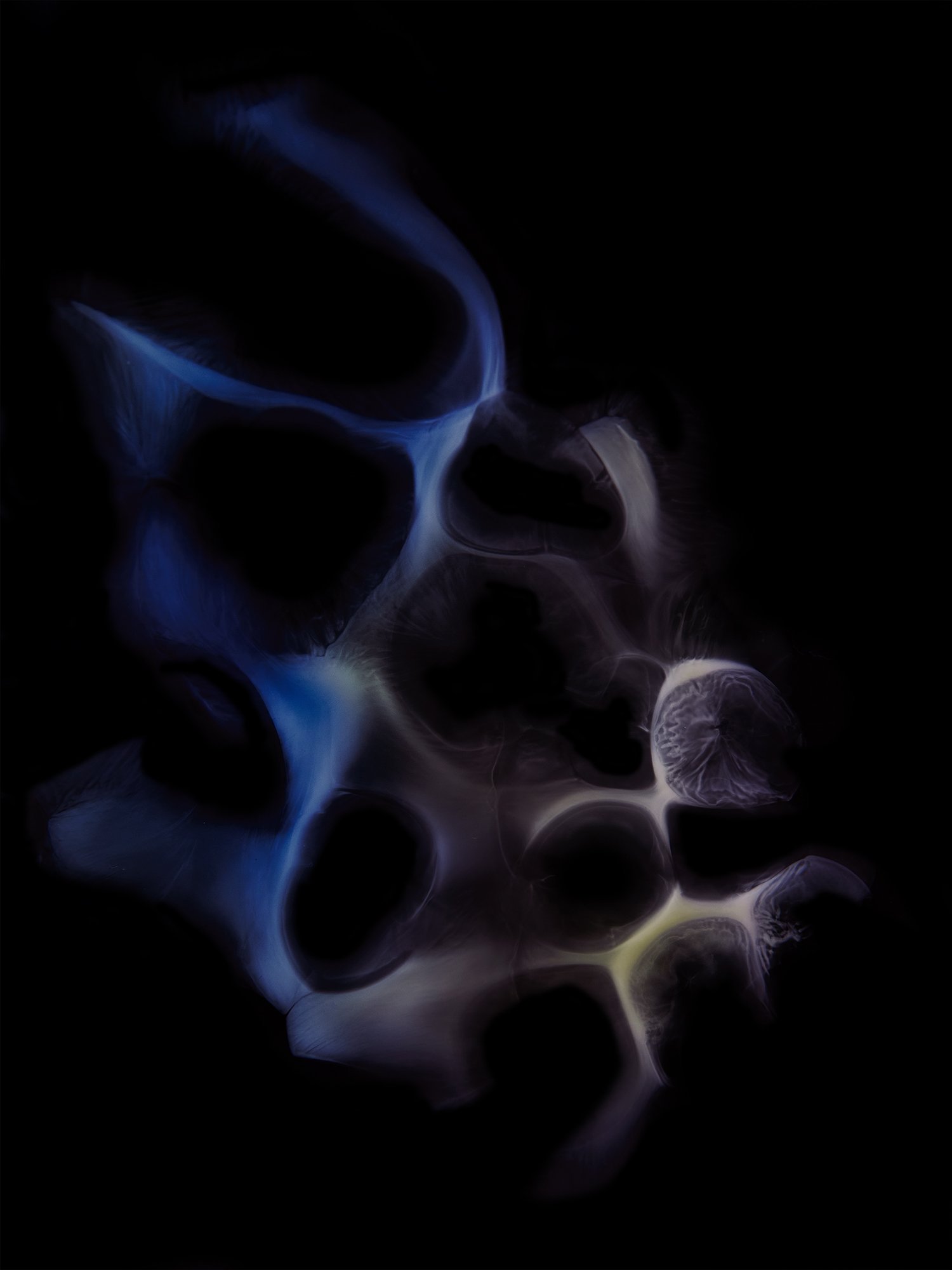 Frank Stelitano: Photography and Physics to interpret the complexity of Reality