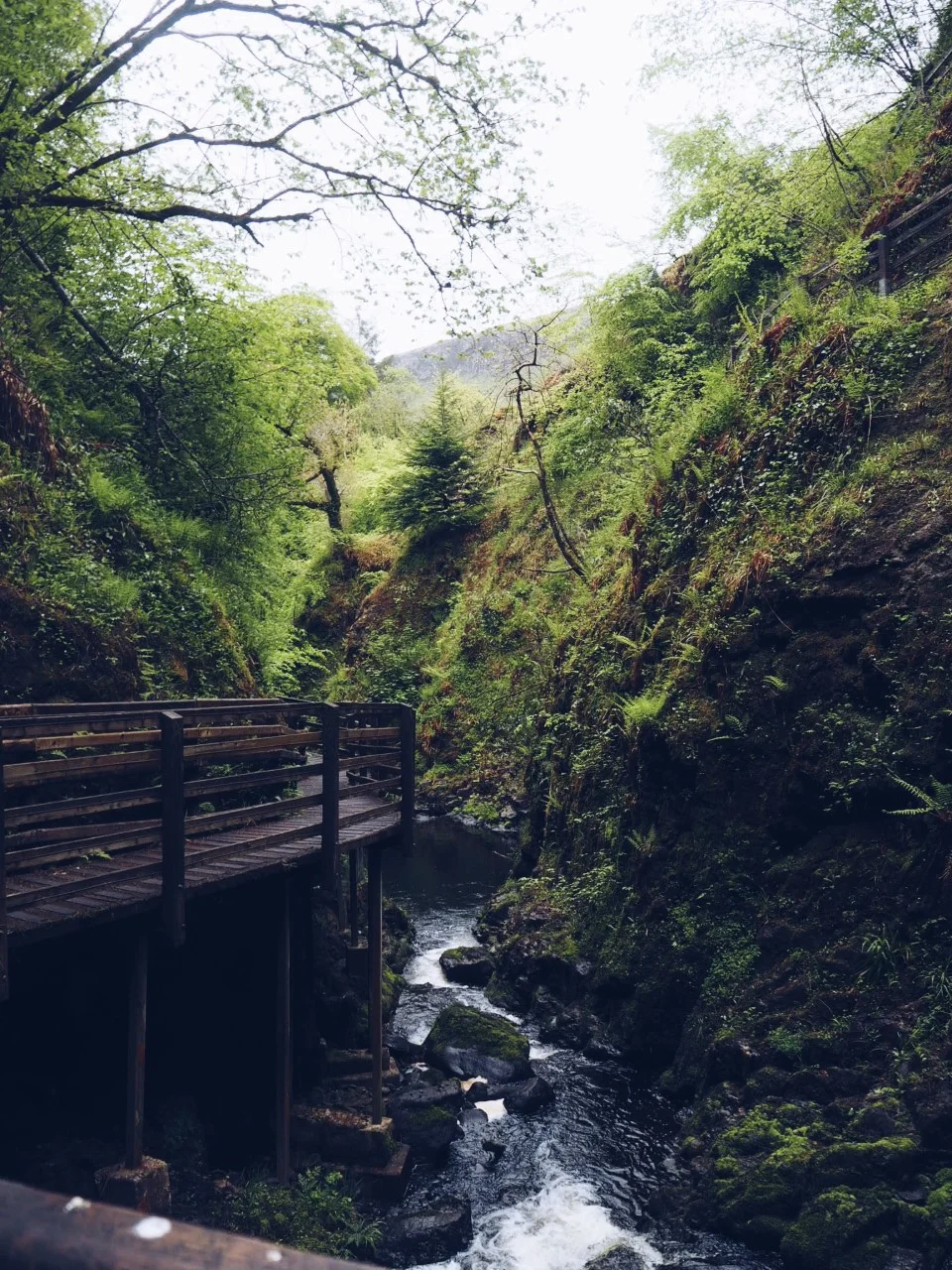 Glenariff Nature Reserve & Waterfalls Walk