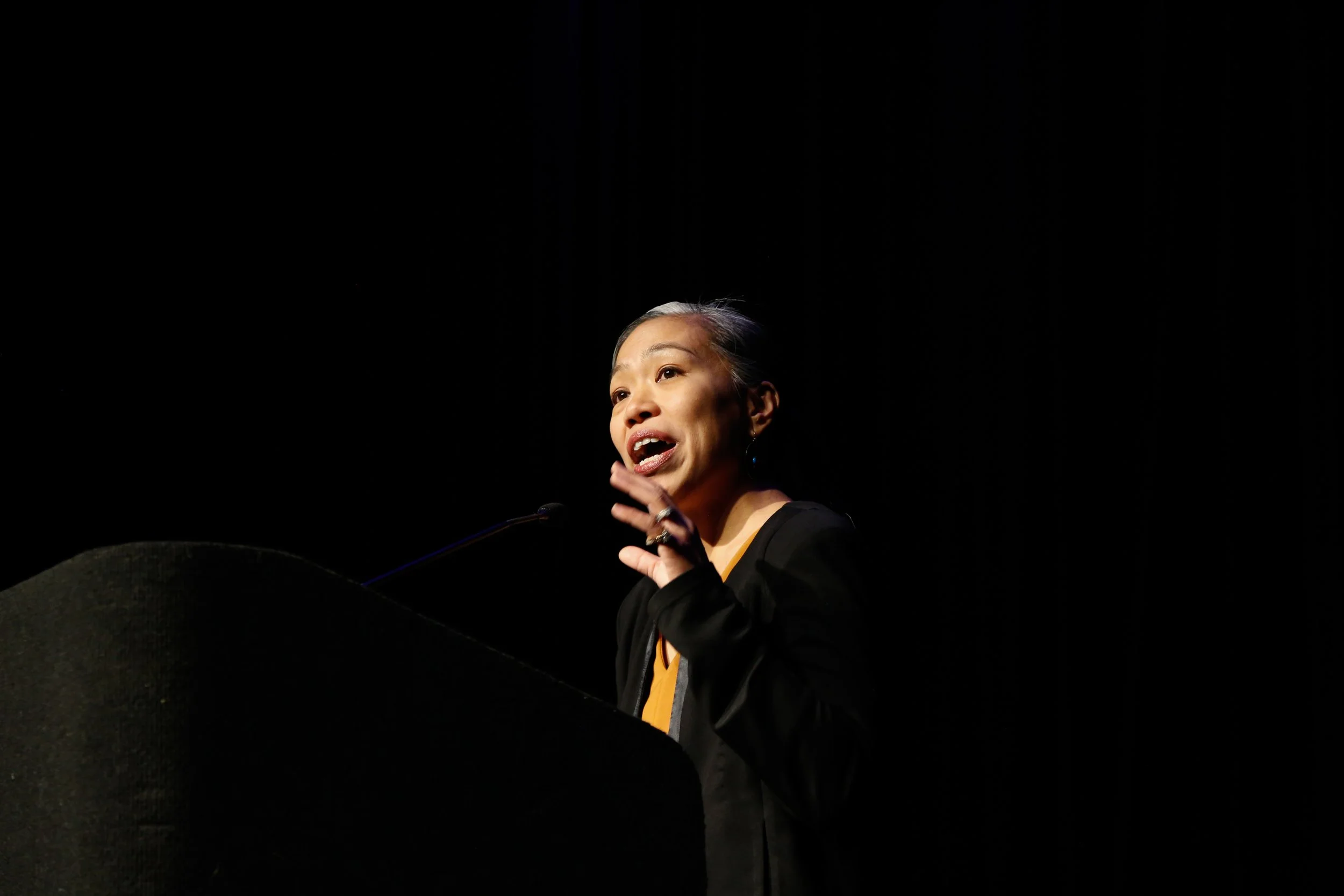 Maria Torres-Springer Deputy mayor of housing, economic development