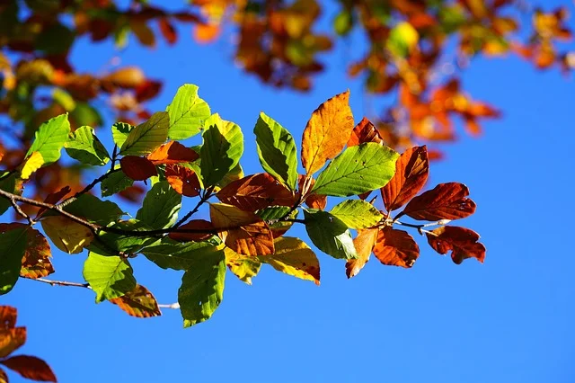 Fall has arrived - that means a busy time for our Field Reps!