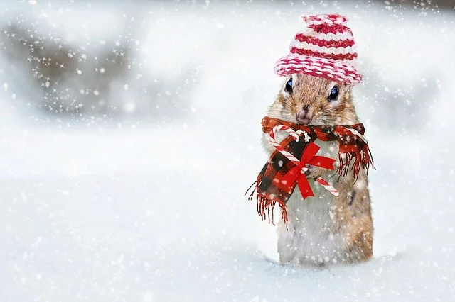 When the weather outside is frightful....what a great time to share the Gospel!