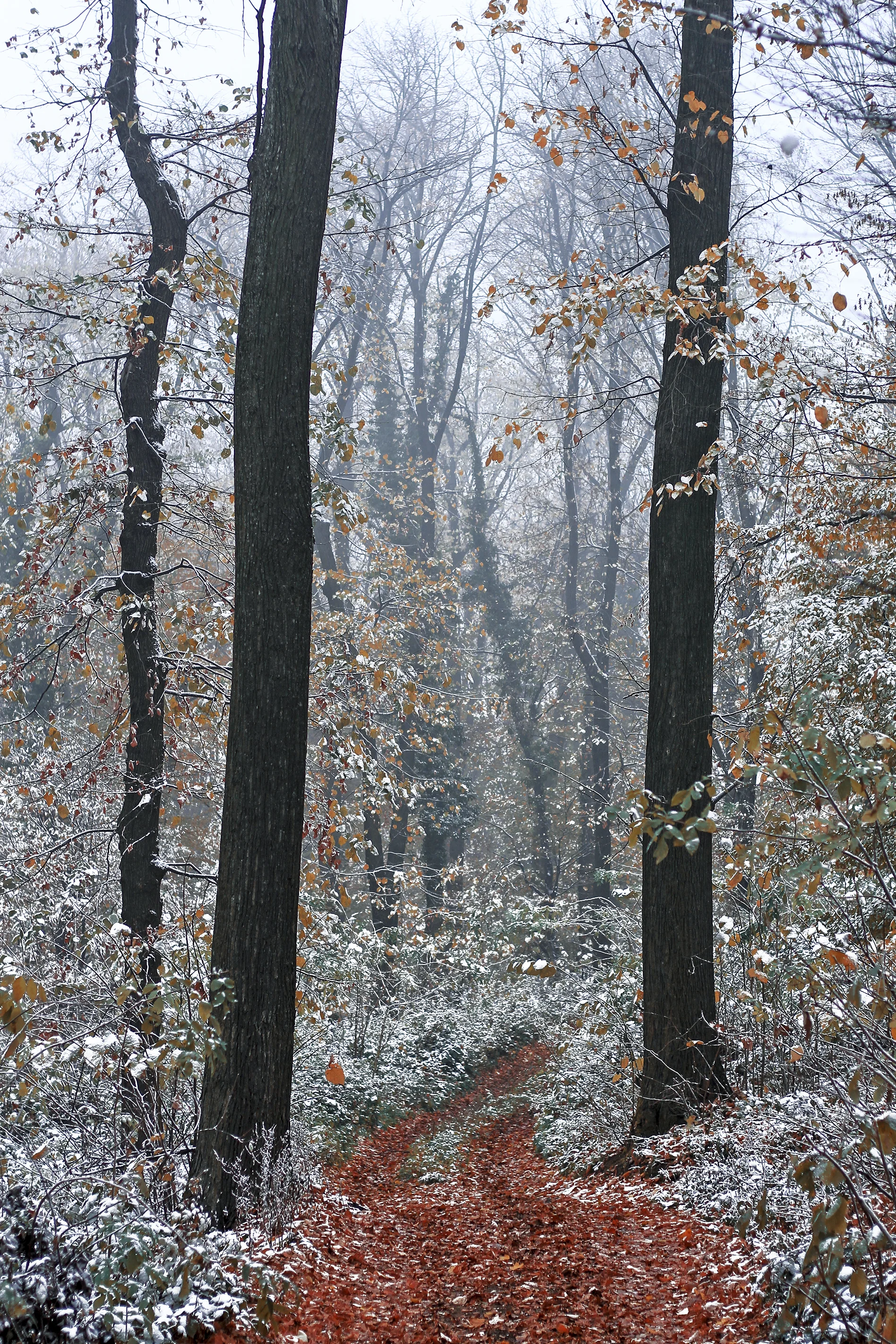 February 2019 Statistics