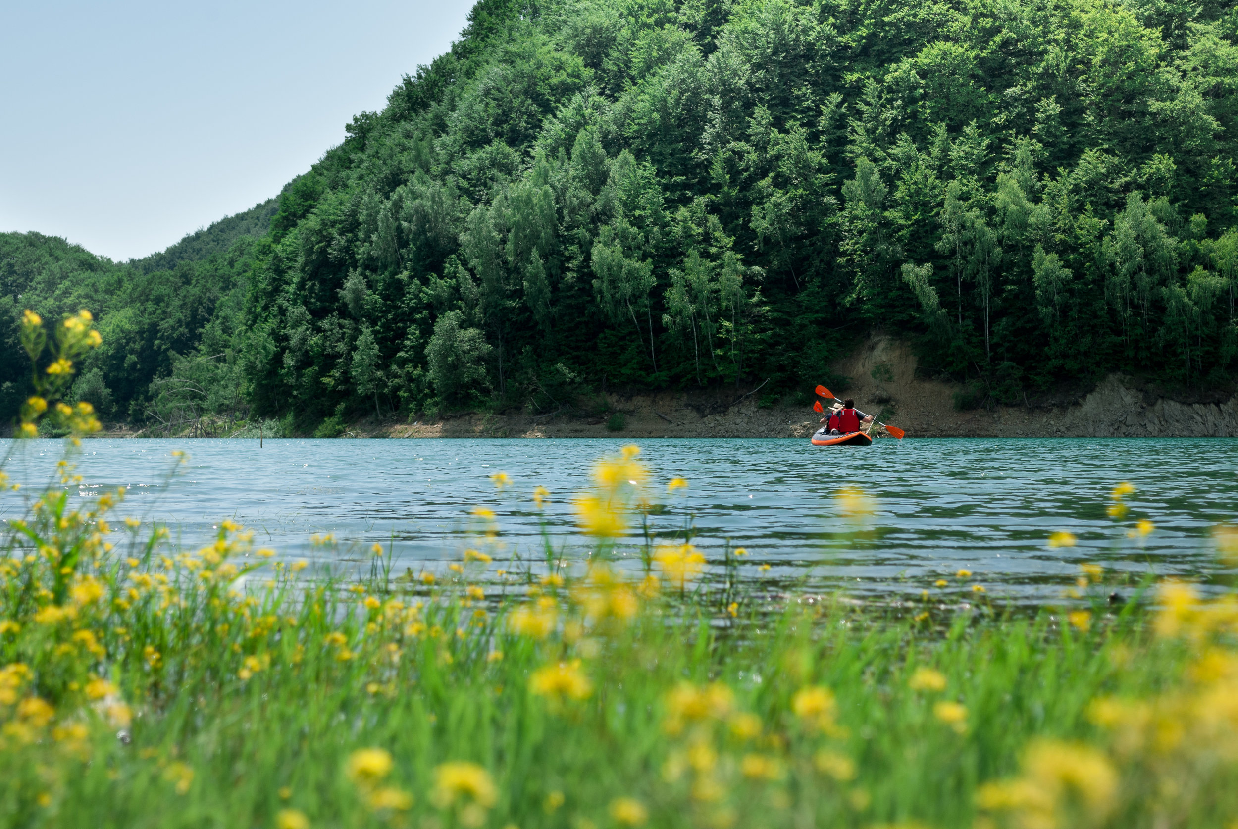 June 2019 Statistics