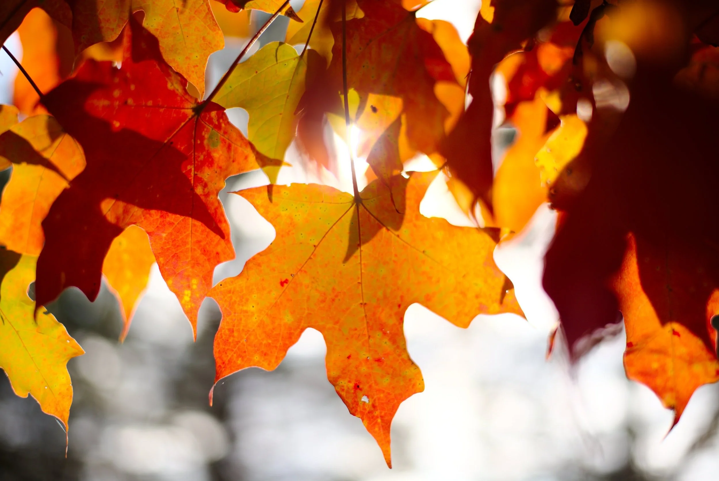 September 2021 Statistics