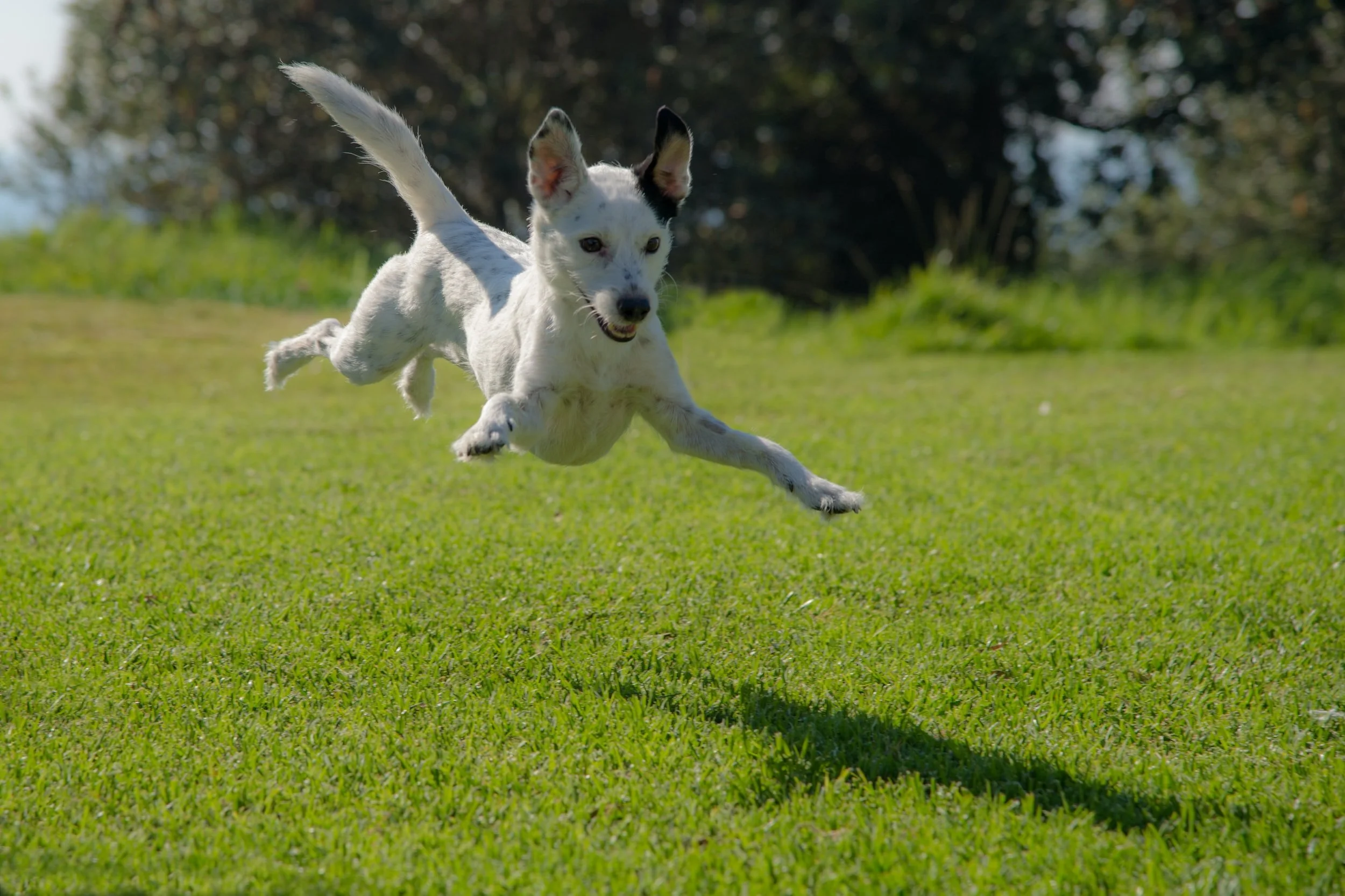 Exciting times!  Share the joy with us! - News from the field and around the www