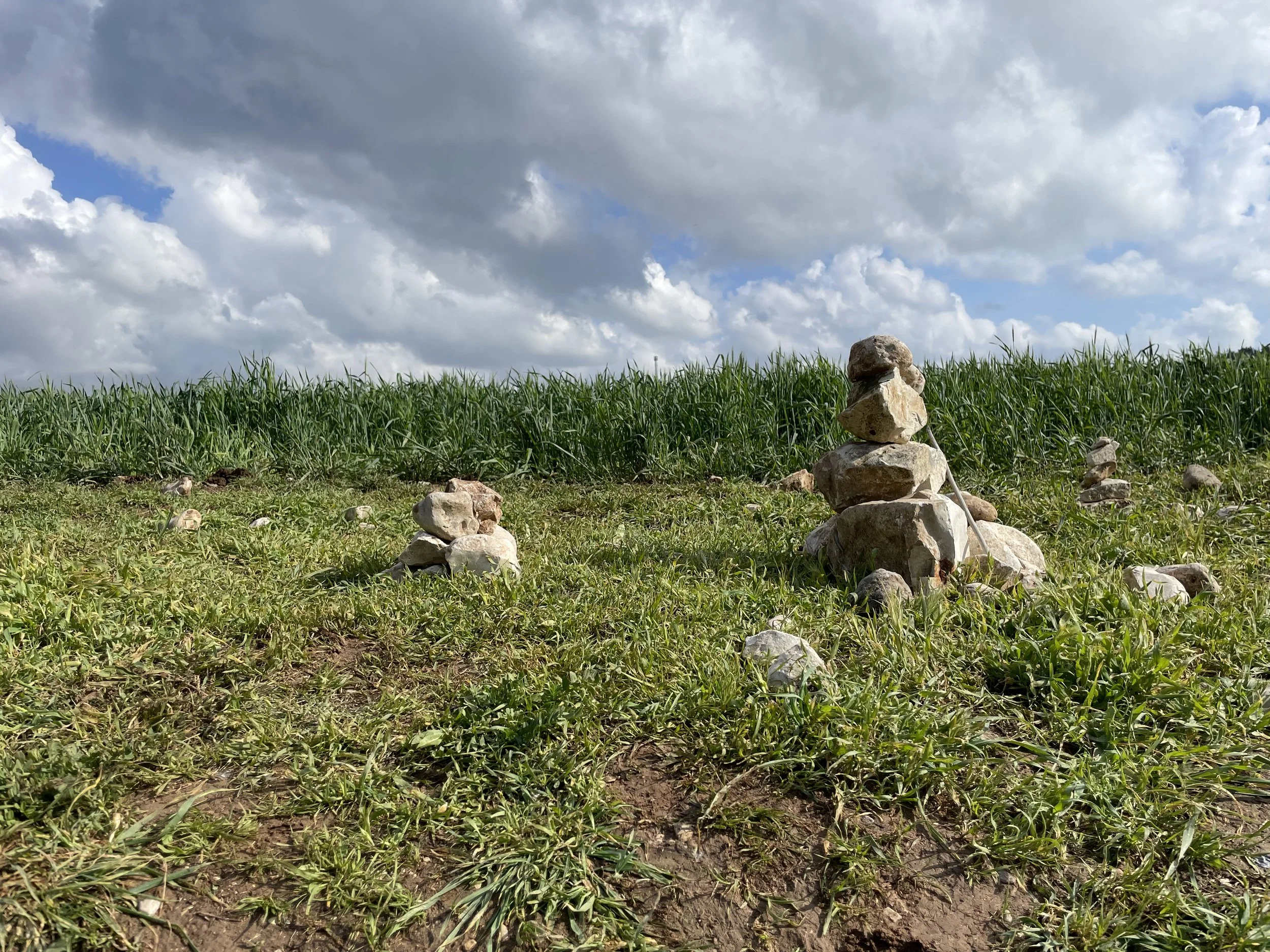 A Shield About Me: A Study on Christian Joy - Amy Lawrence