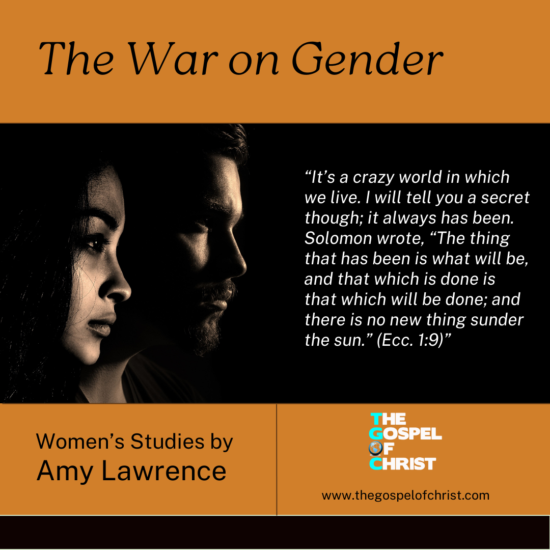 The War on Gender - Amy Lawrence