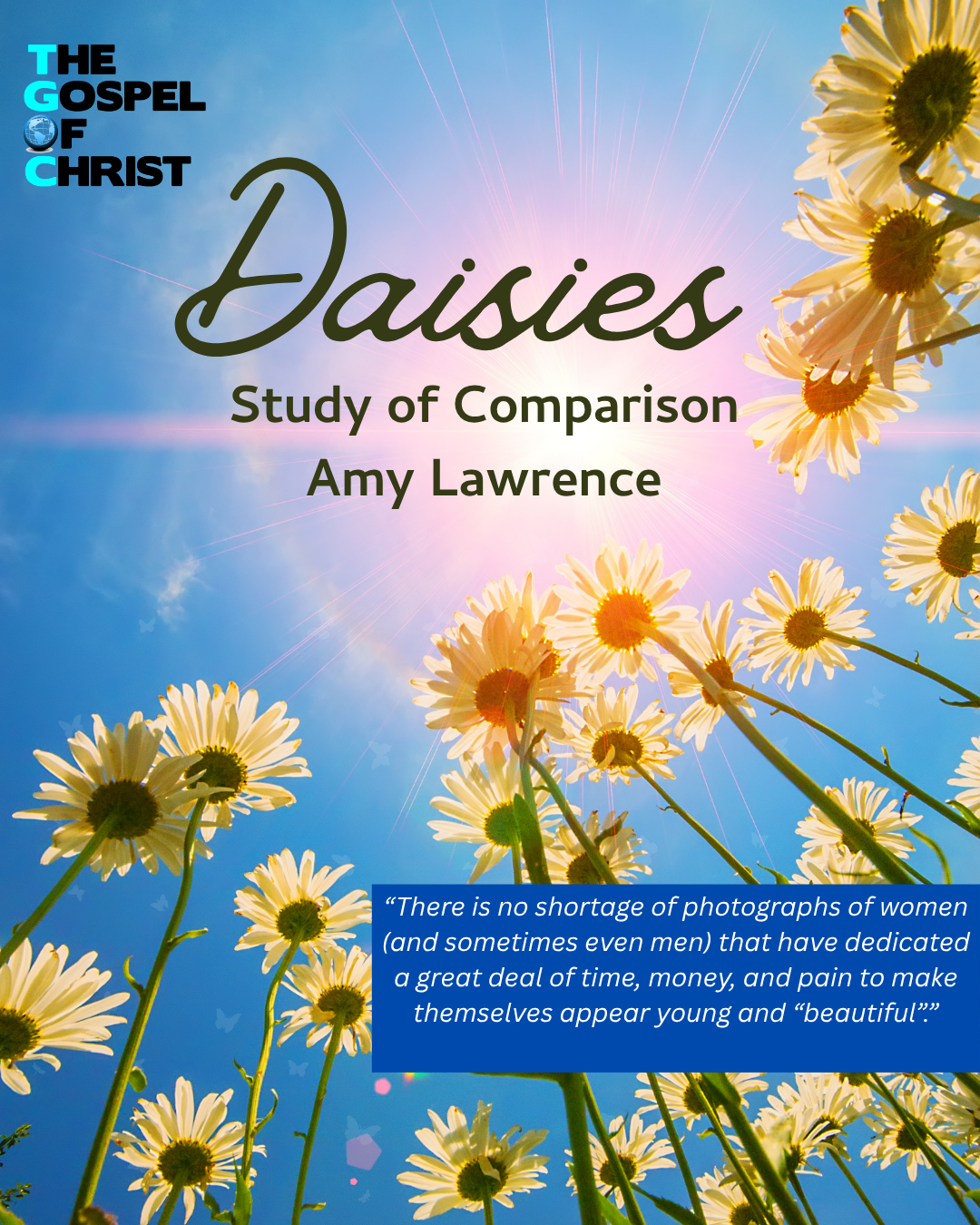 "Daisies" - Amy Lawrence