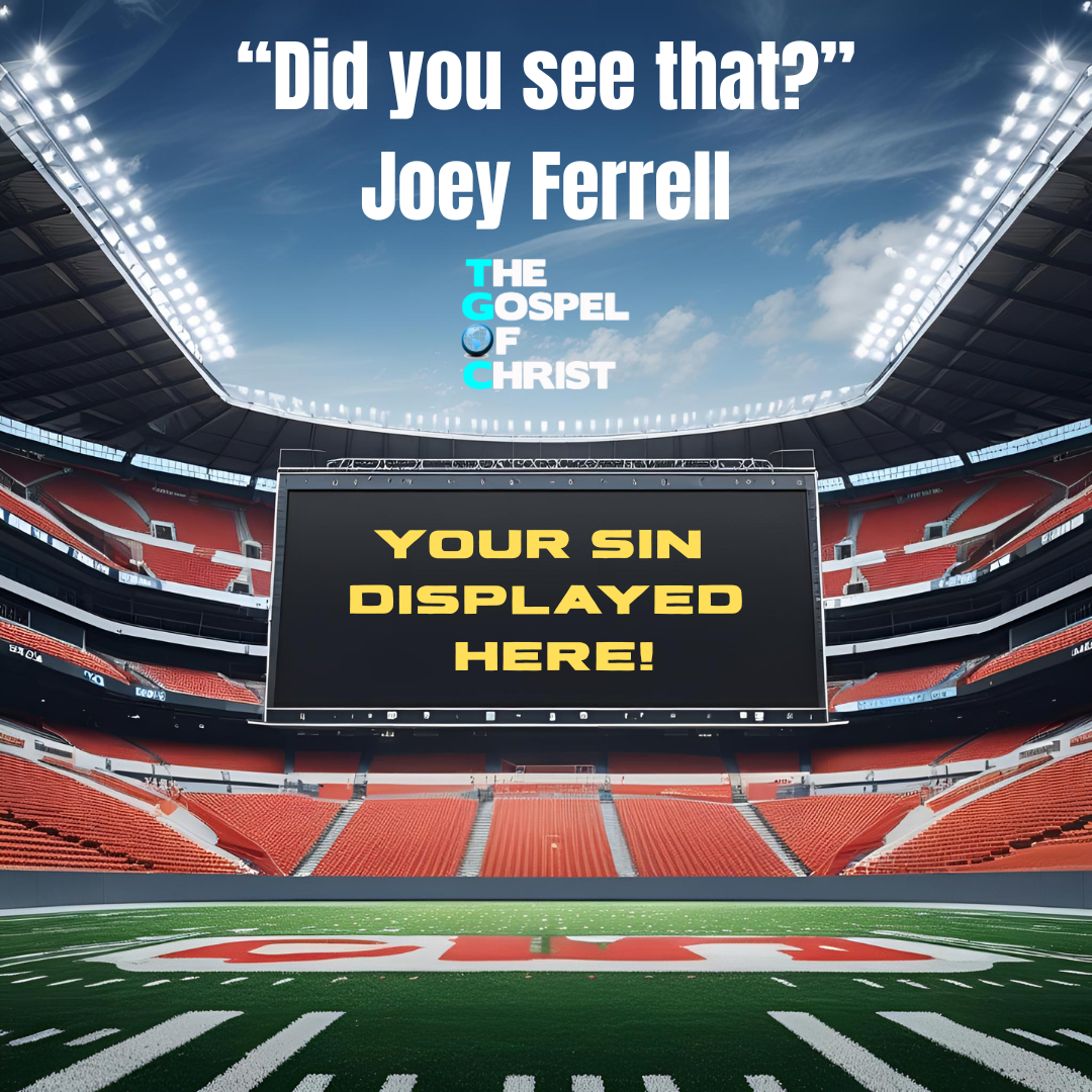 "Did you see what was on the screen?" - Joey Ferrell