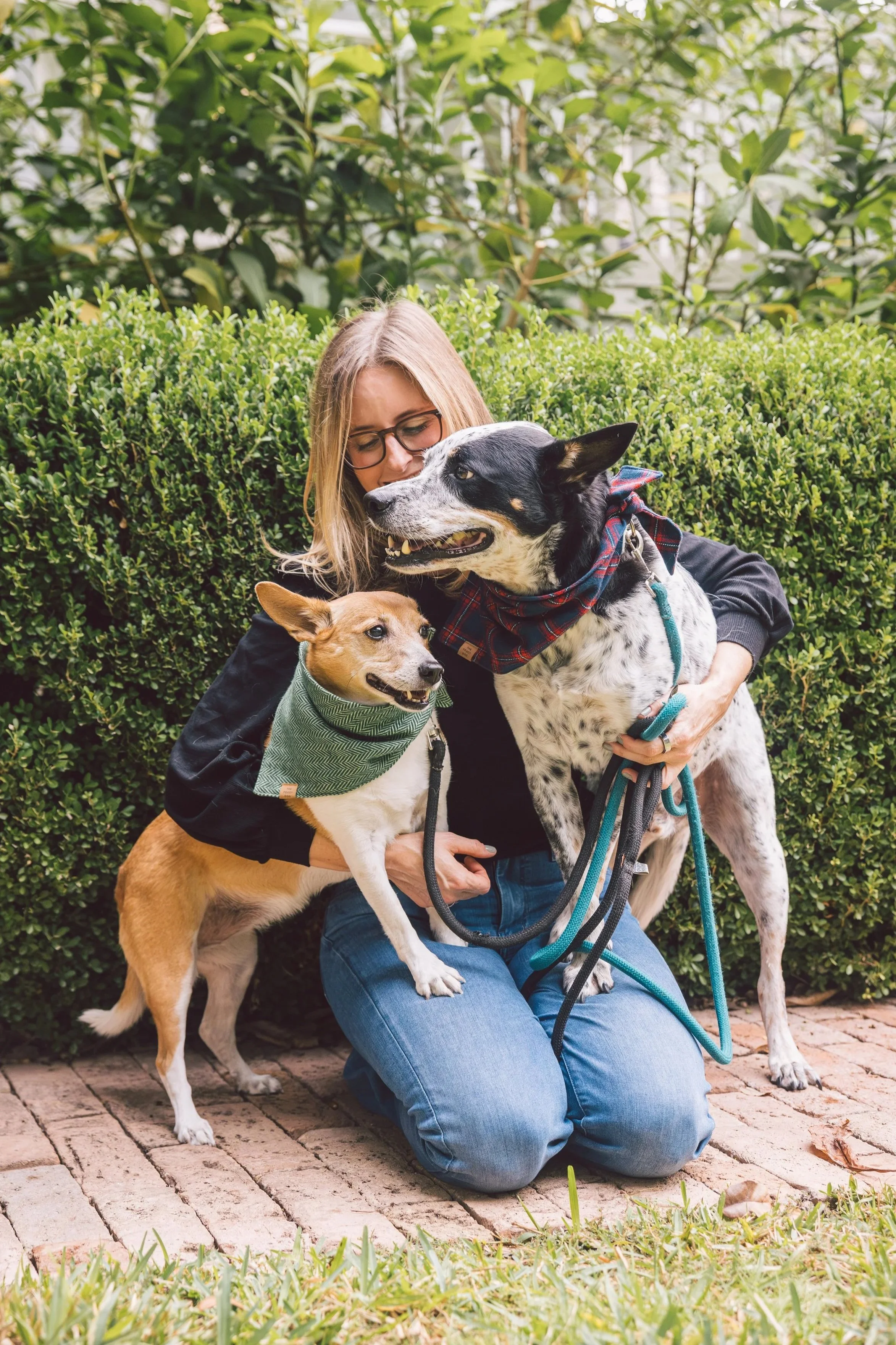 Steph and her super mutts