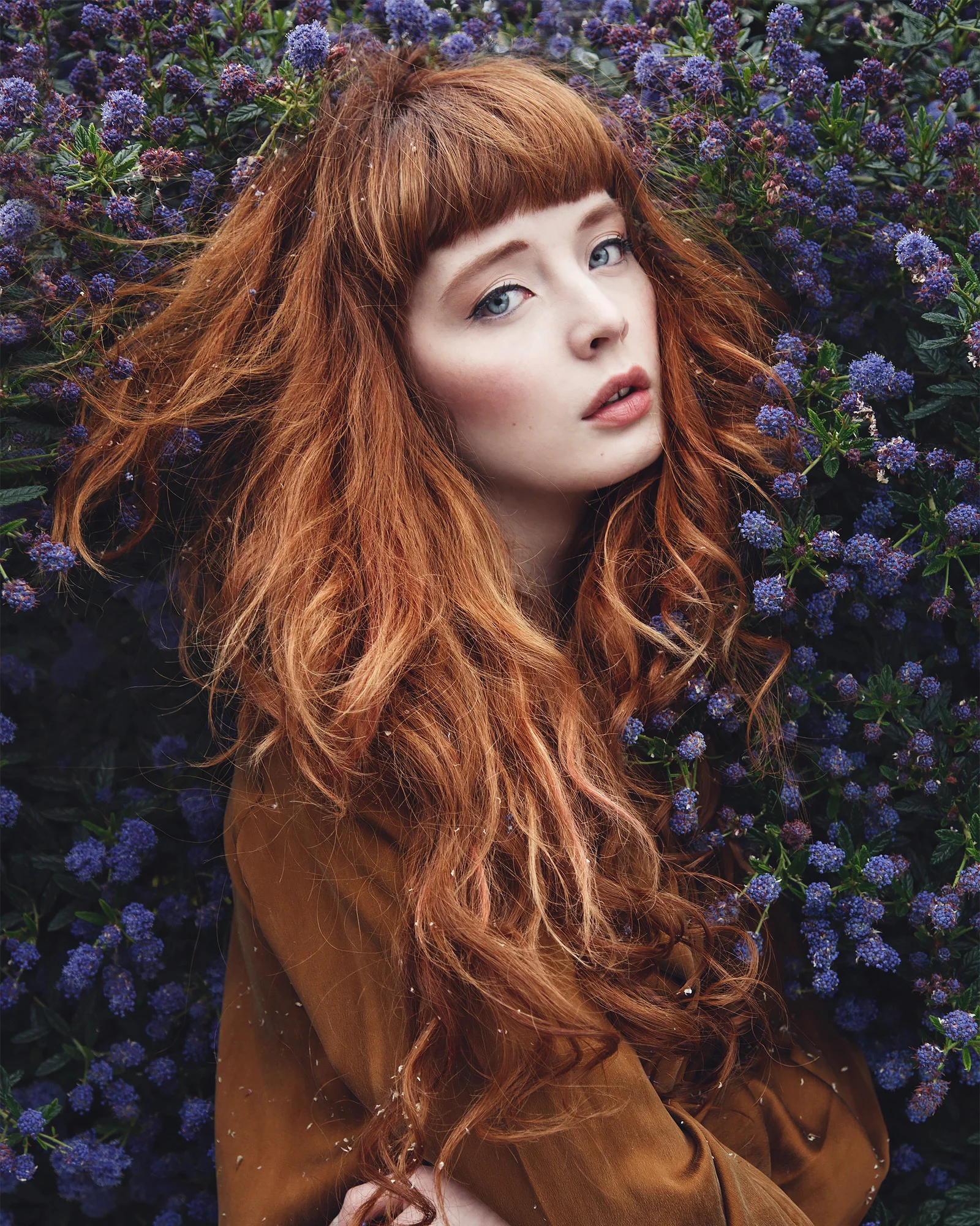 Laurie. Ceanothus in bloom. Gabriela Silveira Photography. @gabiesilveira