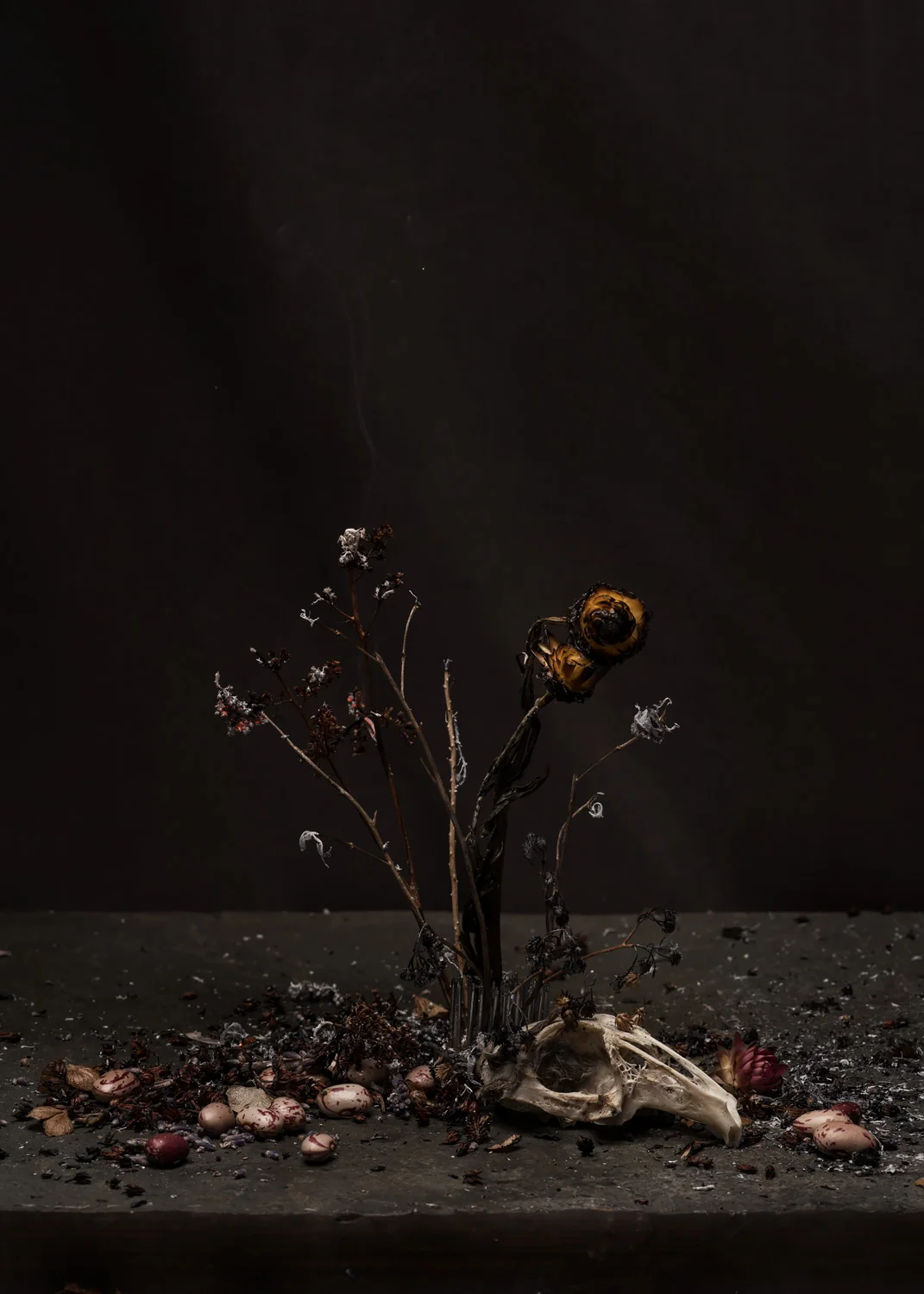 gabriela-silveira-photography-consummation15.jpg