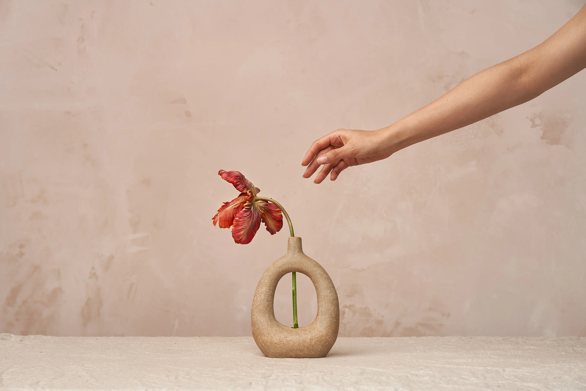 gabriela-silveira-photography-botanical-vessel8.jpg