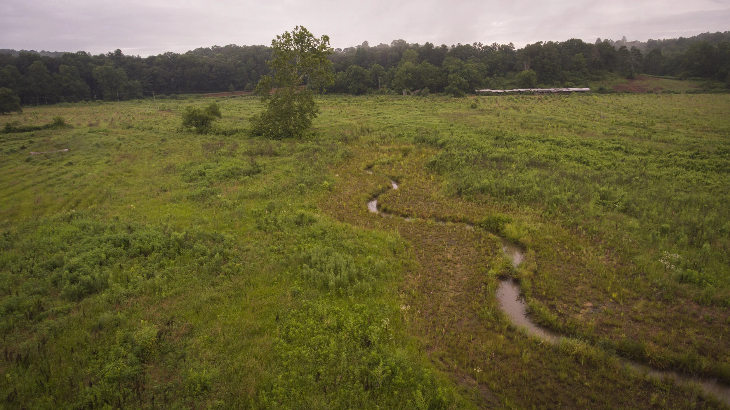 DJI_0036.jpg