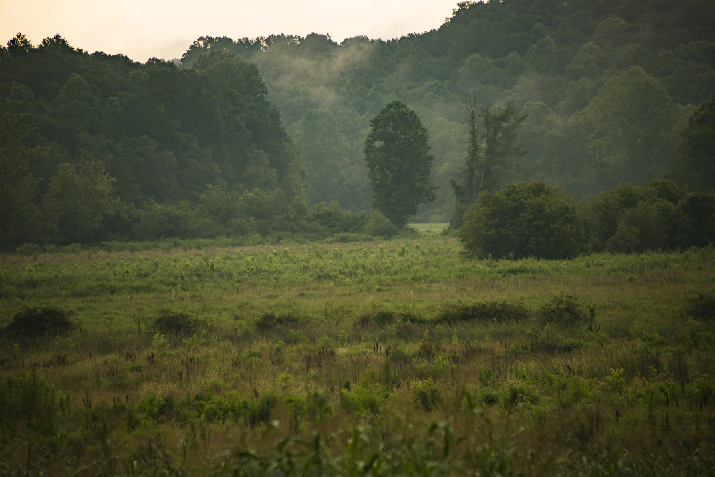 DSC_1712.jpg