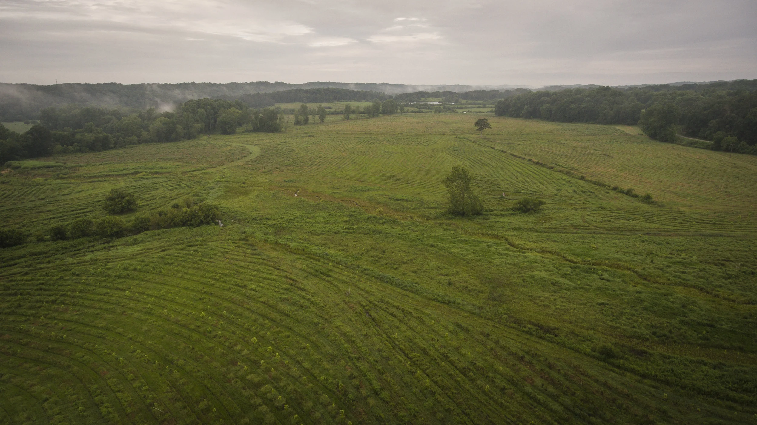 DJI_0045.jpg