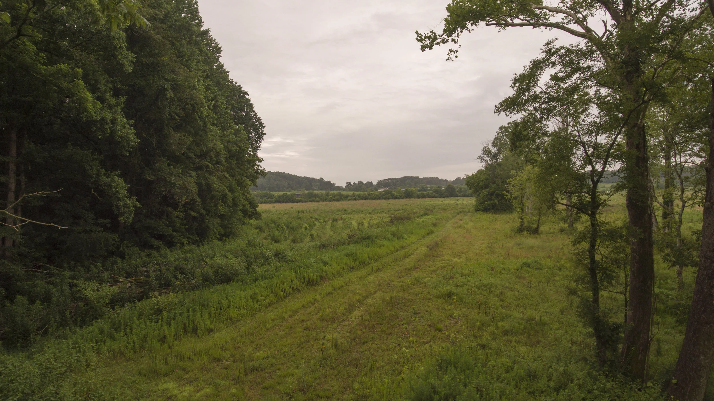 DJI_0010.jpg