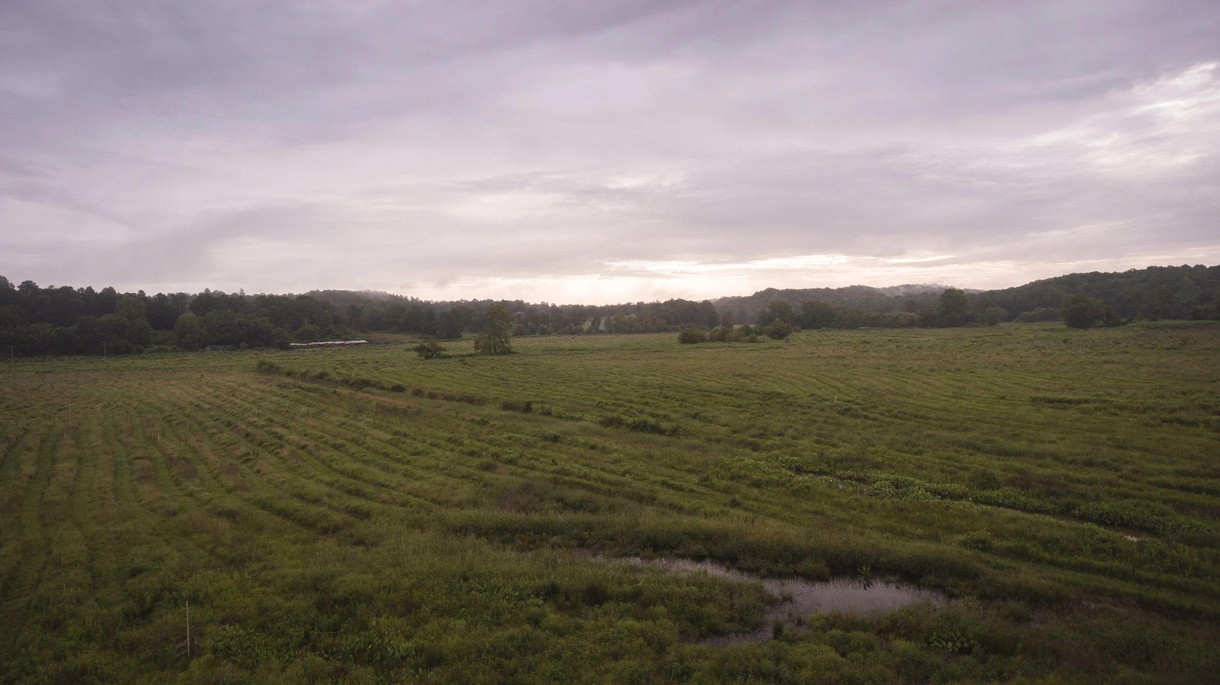 DJI_0025.jpg