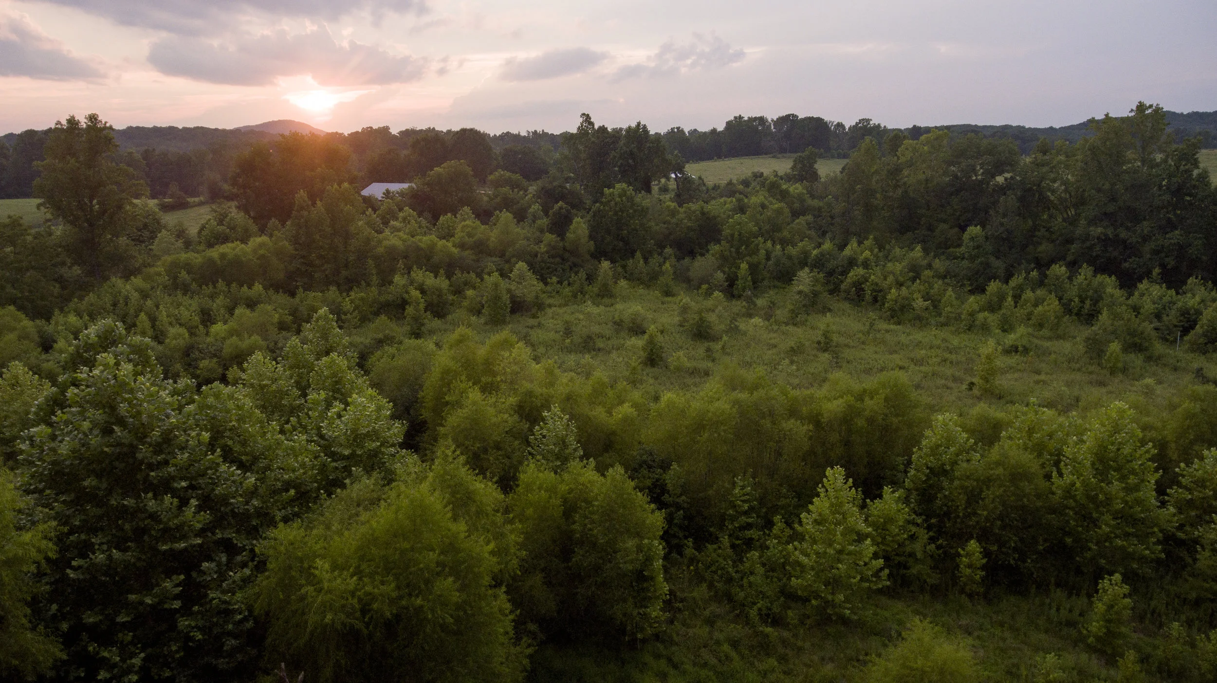 DJI_0051.jpg