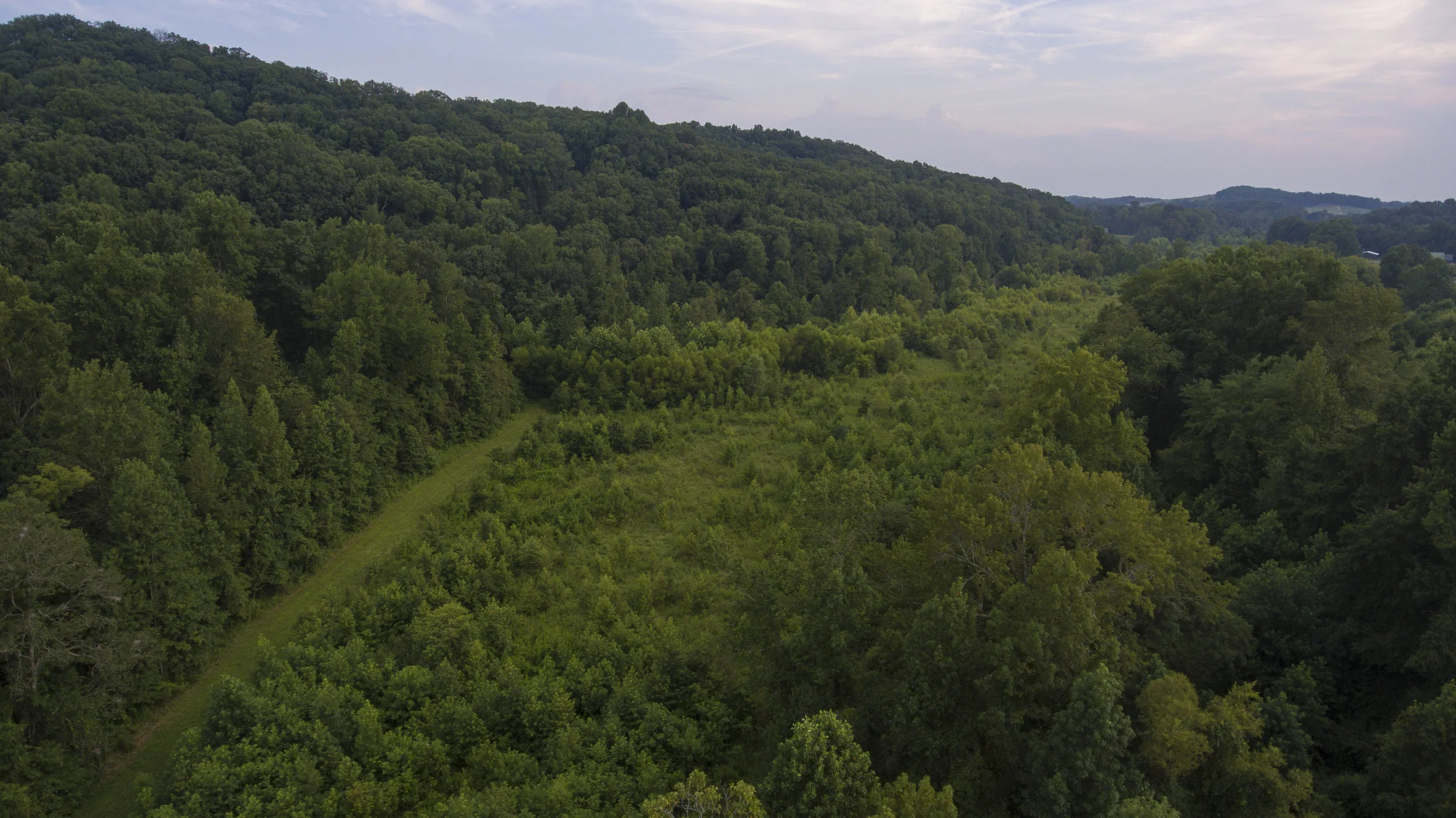 DJI_0008.jpg