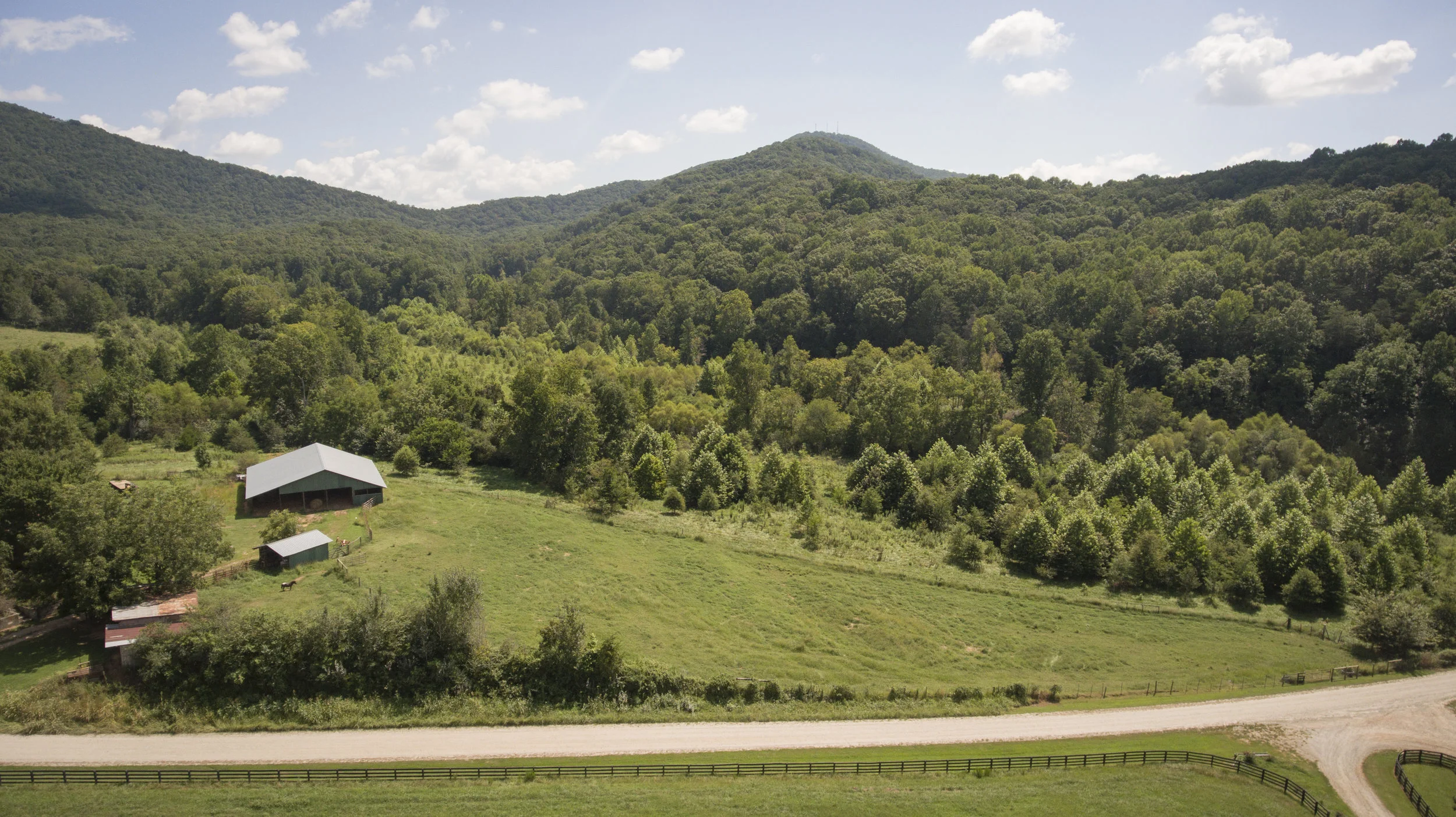 DJI_0031.jpg