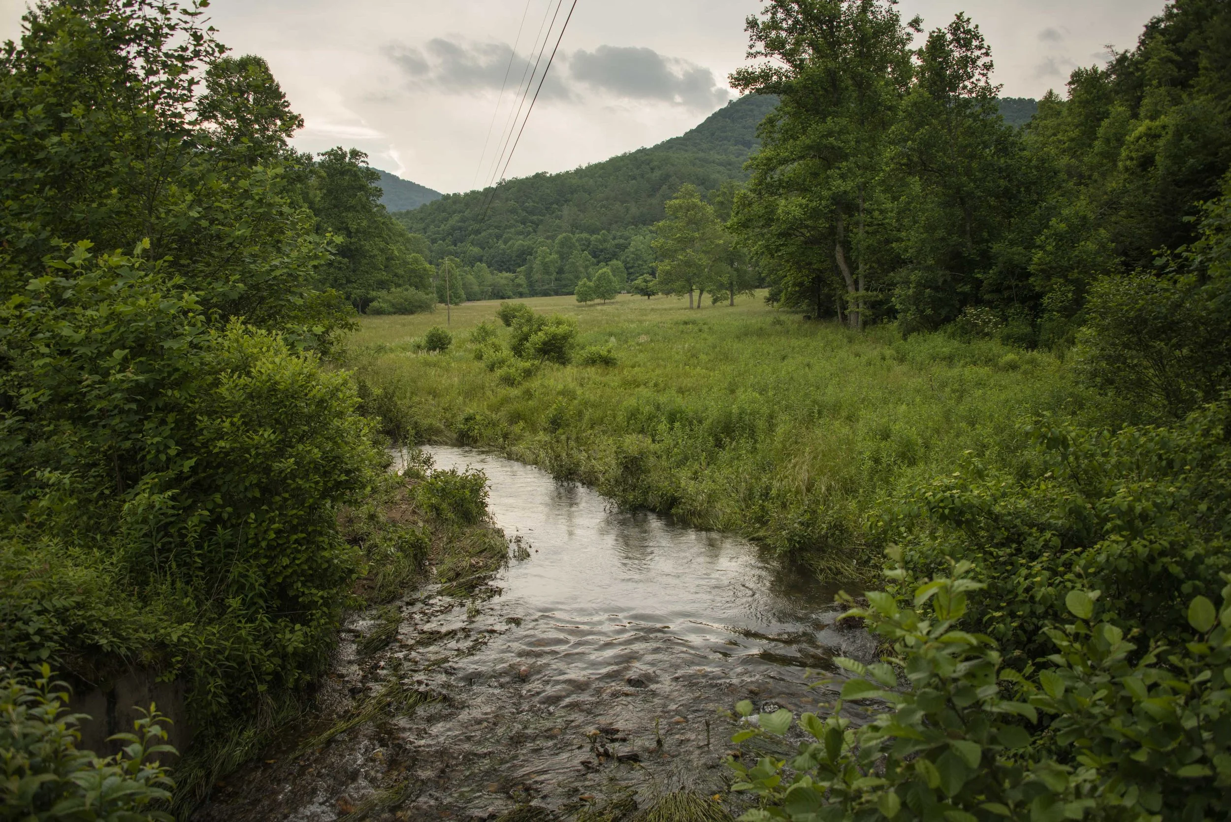 DSC_5735.jpg