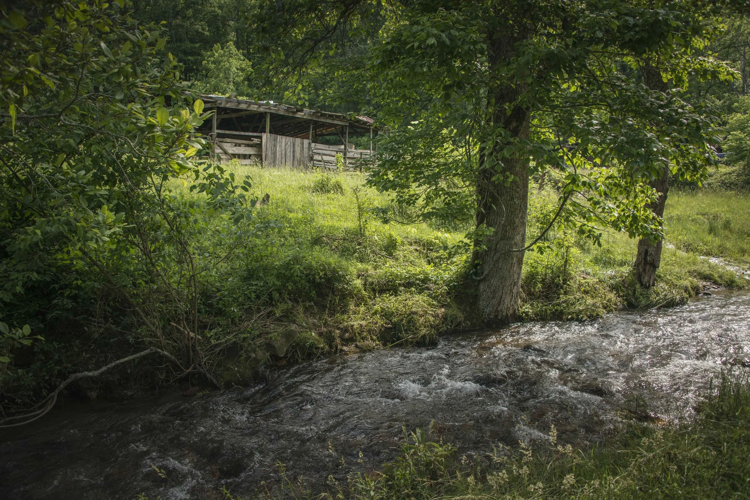 DSC_5709.jpg