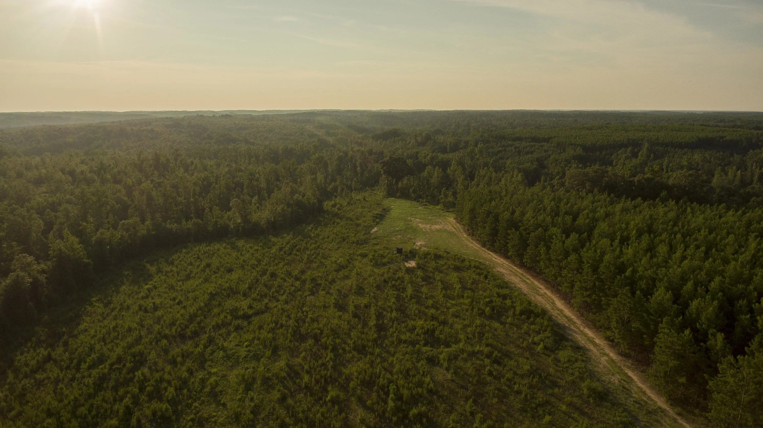 thompson timber-43.jpg