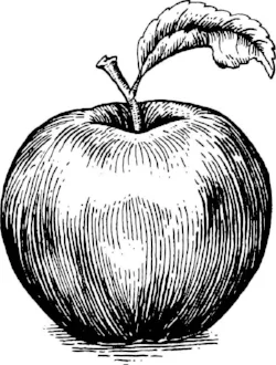 apple logo b&w.jpg
