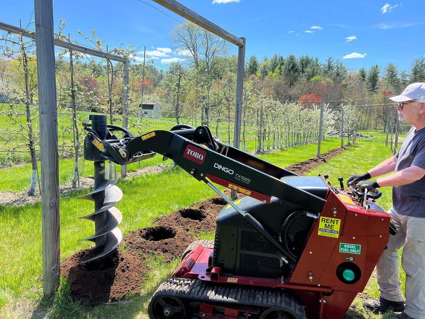 Big planting weekend at our home orchard&hellip; over 140 new cider apple trees added this season to replace those lost by fireblight and vole damage.  Among them: Roxbury Russet, Wickson, Franklin, Harrison, Porters Perfection, Redfield, GoldRush, H