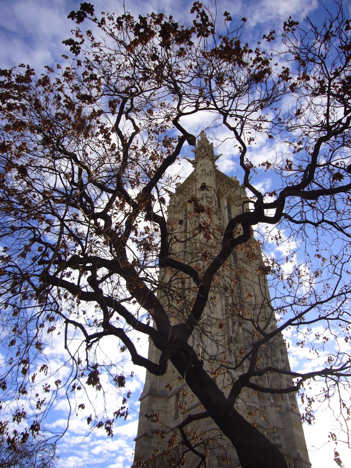 P1050206.JPG