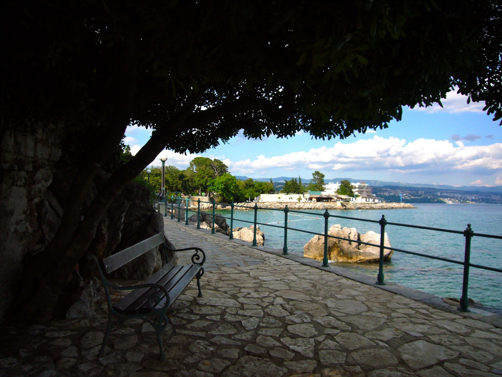P1000427.JPG