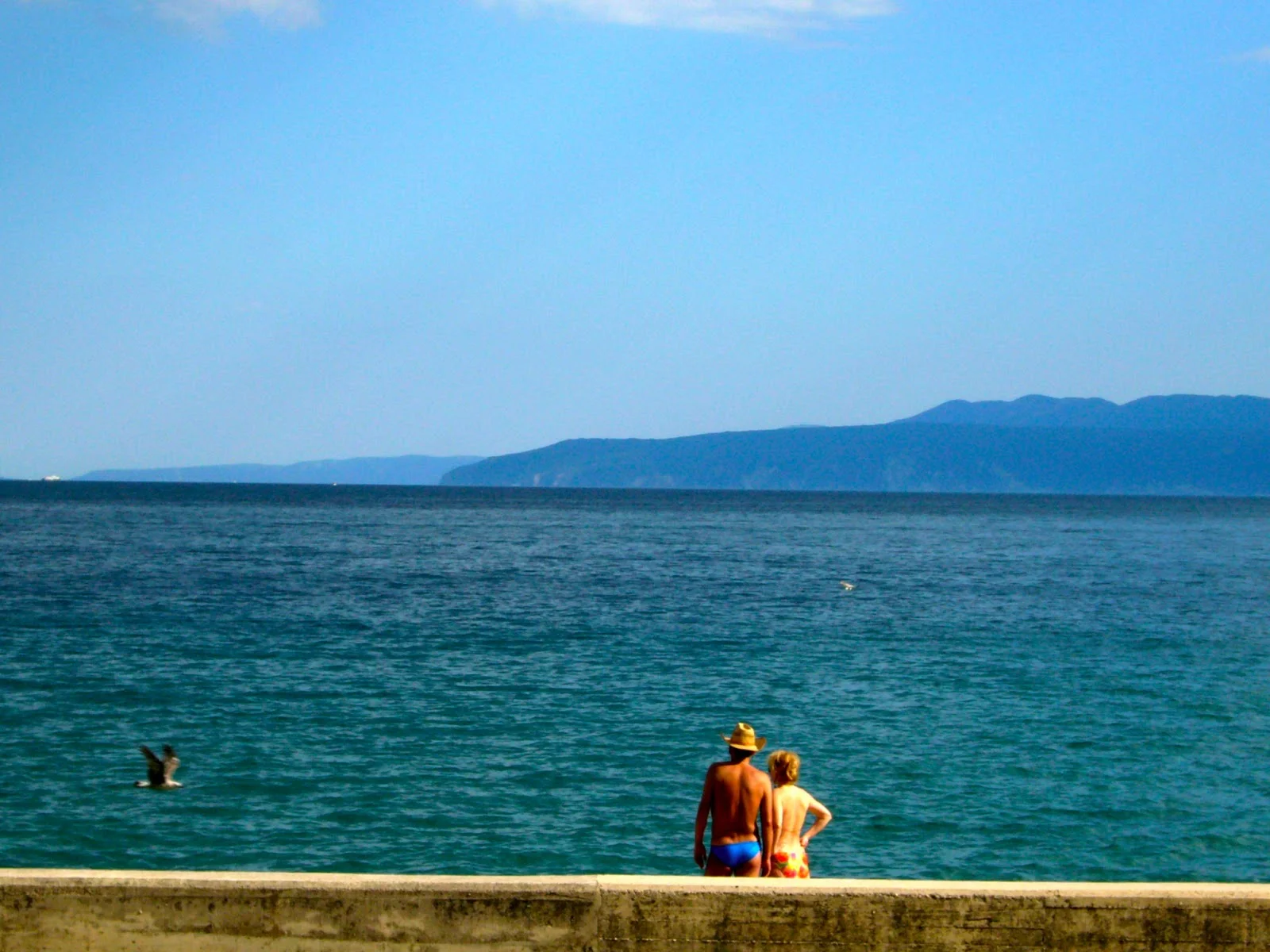P1000447.JPG