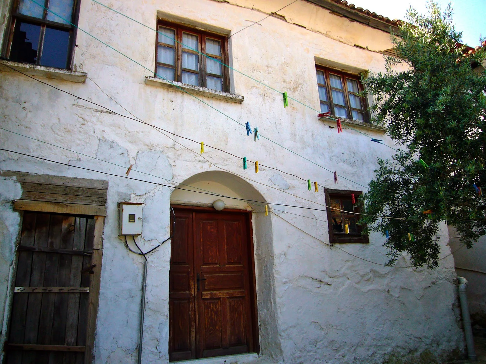 P1470767.JPG