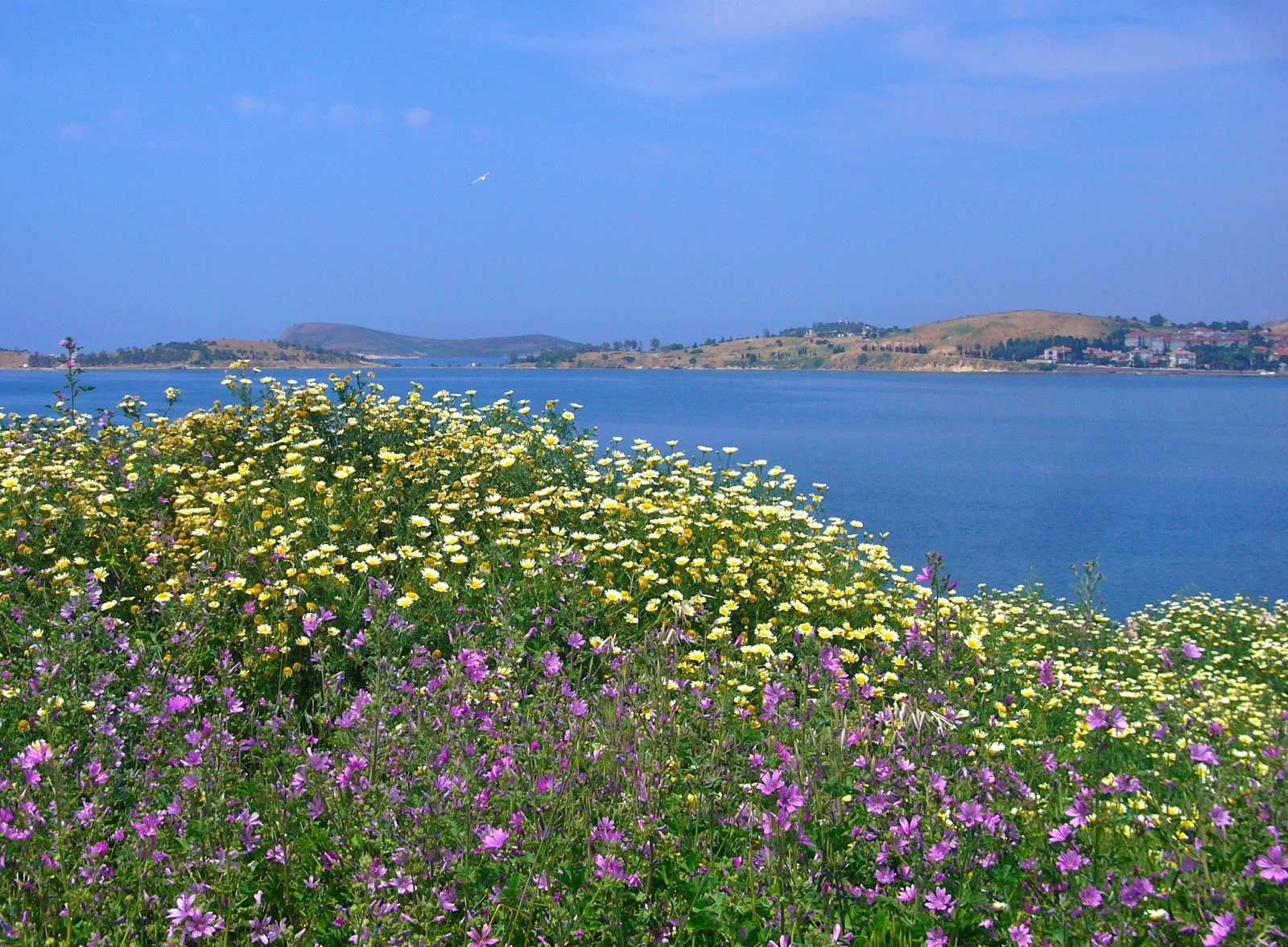 P1480175.JPG