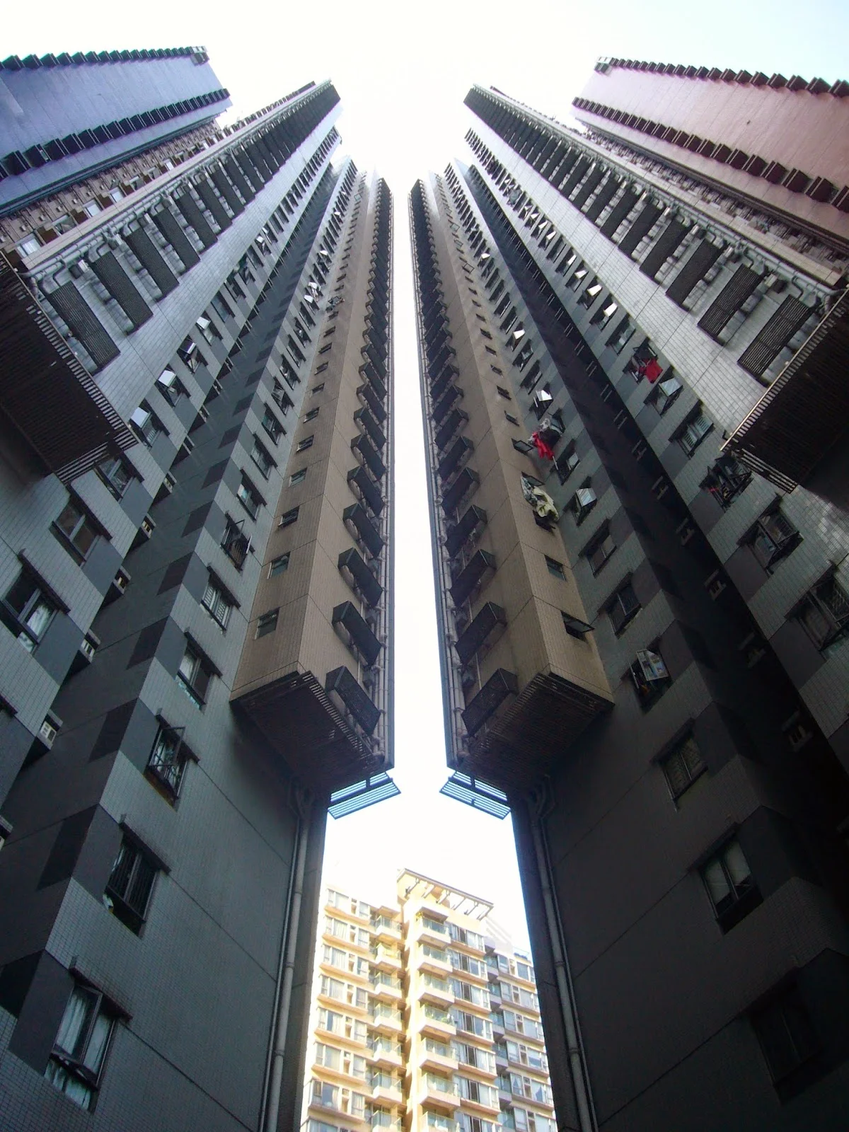 P1080759.JPG