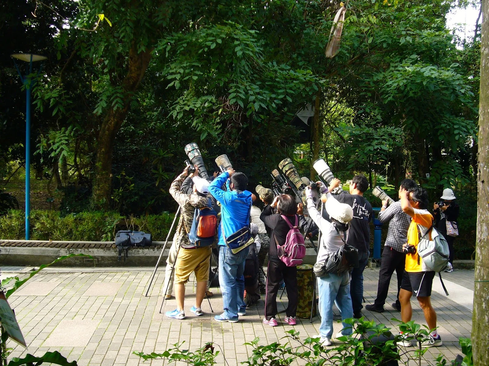 P1100757.JPG