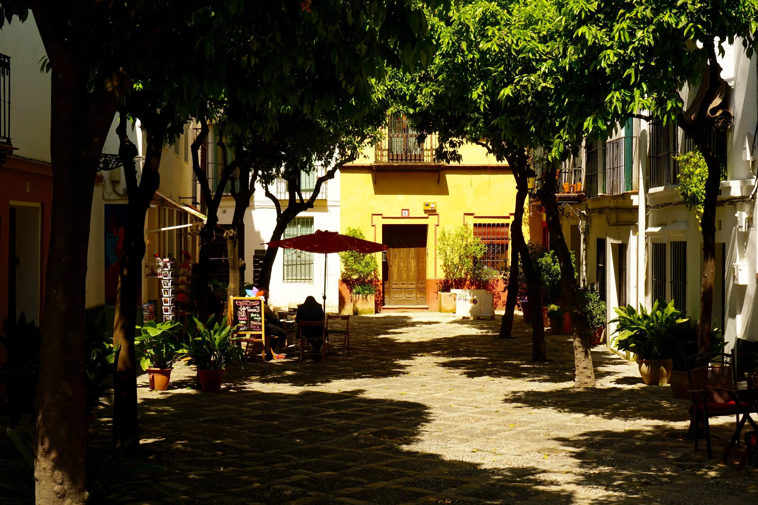 DSC03849.jpg
