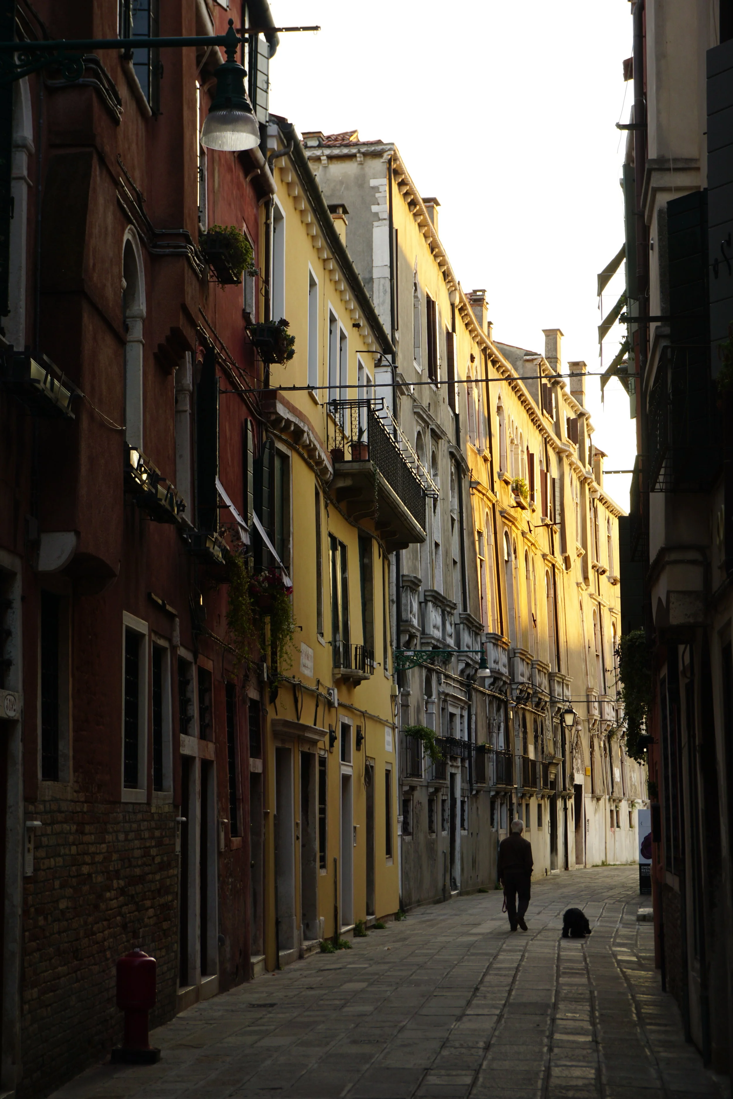 DSC01875.JPG