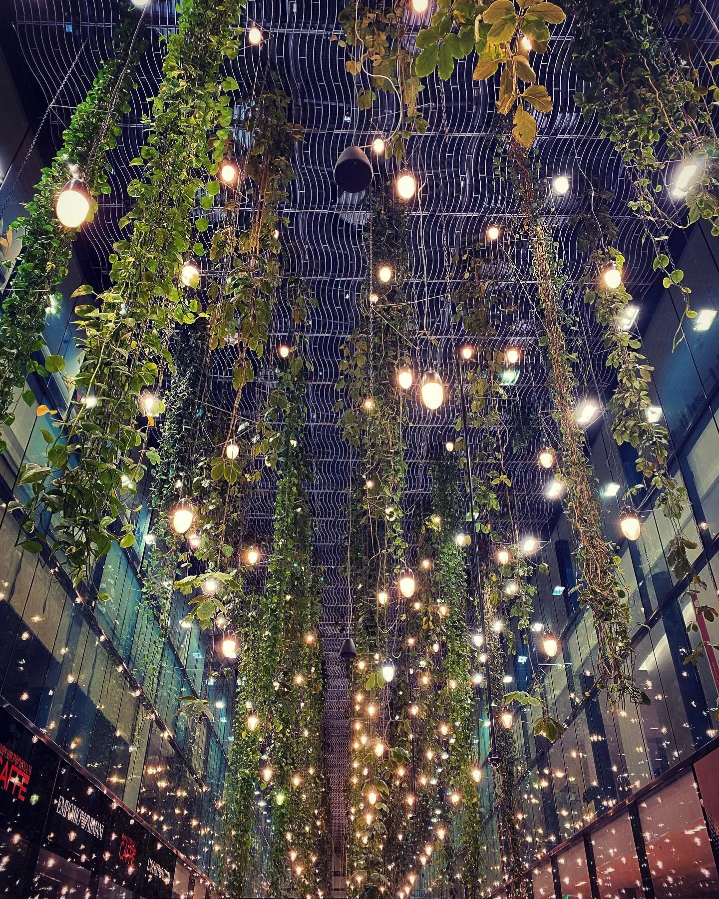 Daily dose of wonderland.
.
.
#lights #illumination #citylights #nightlights #lookingup #m&uuml;nchen #munich #eveningwalk #bulb #lightroom #hangingplants #hanginthere #ceiling #interiordesign #interiorinspo #interiordecor #decoration #lighting #ligh