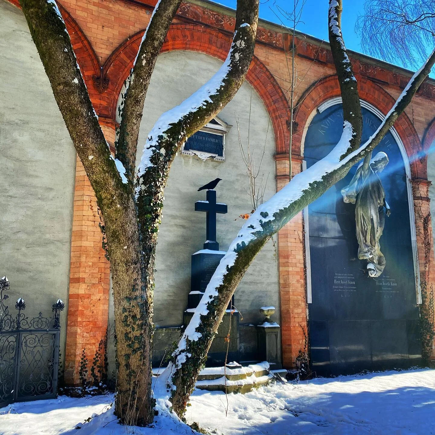 Pretty dead. 
.
.
#munich #m&uuml;nchen #cityscape #grave #cityphotography #lovethisplace #raven #crow #dead #graveyard #cemetery #cemeteryphotography #winter #perfection #rayoflight #sunshine #wintersun #winterwalk #stilllife #m&uuml;nchenliebe #cro