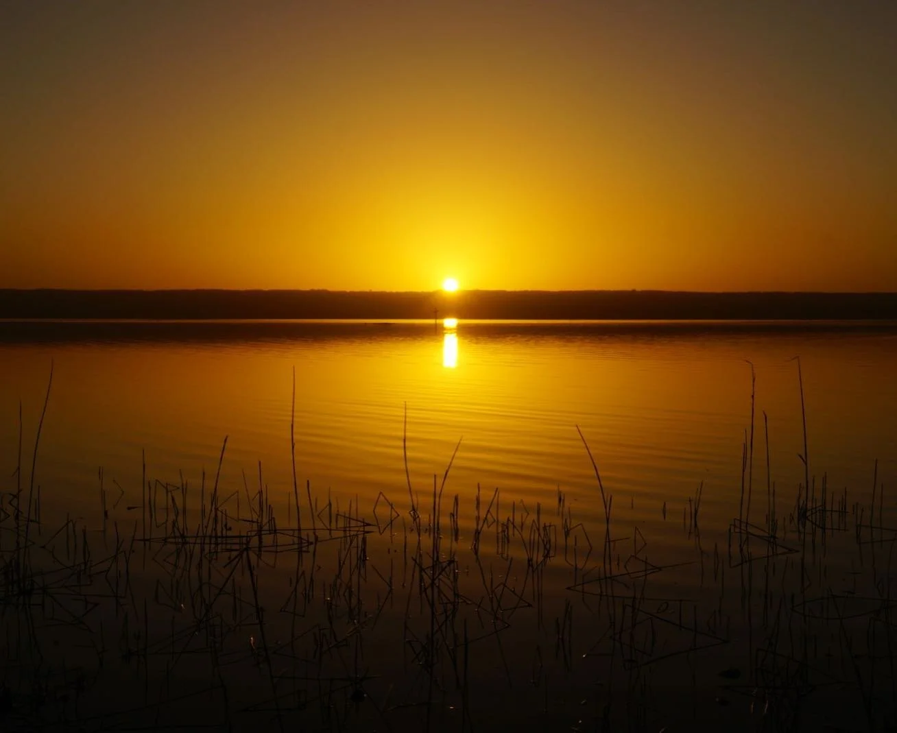 Lake Night Show.
.
.
#sunset #lake #ammersee #lakephotography #lakeview #lakelife #naturephotography #sonyalpha6000 #water #reed #sun #sundown #sunsetlovers #sunsetporn #sunset_pics #reflection #bavaria #landscapephotography #skyporn #panorama #peace
