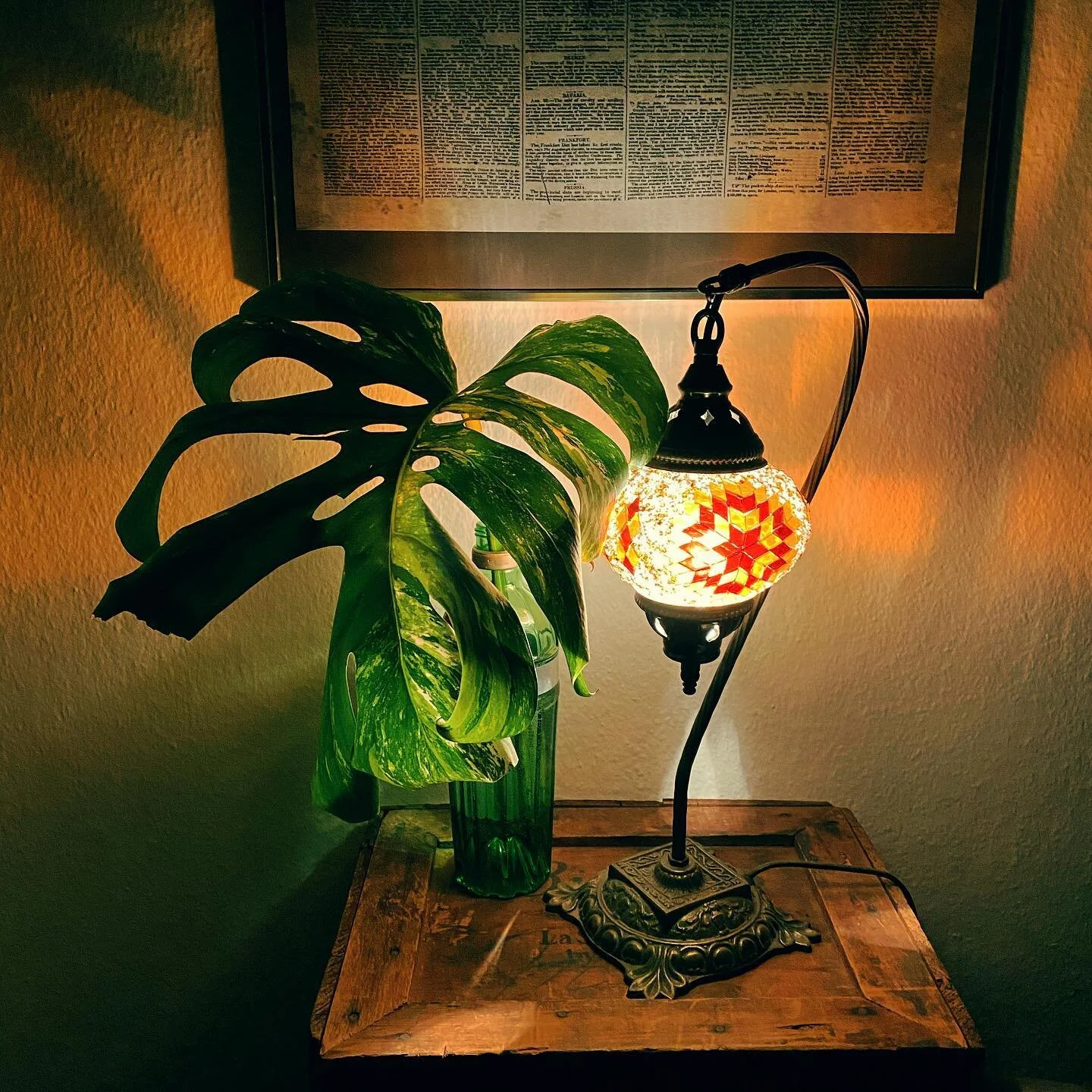 One giant leaf for mankind.
.
.
#monstera #monsteraleaf #monsteravariegata #leaf #pattern #majestic #nightlights #interiordesign #interiordecor #houseplants #houseplantclub #oriental #urbanjungle #urbanjunglebloggers #houseplantlover #plantparenthood