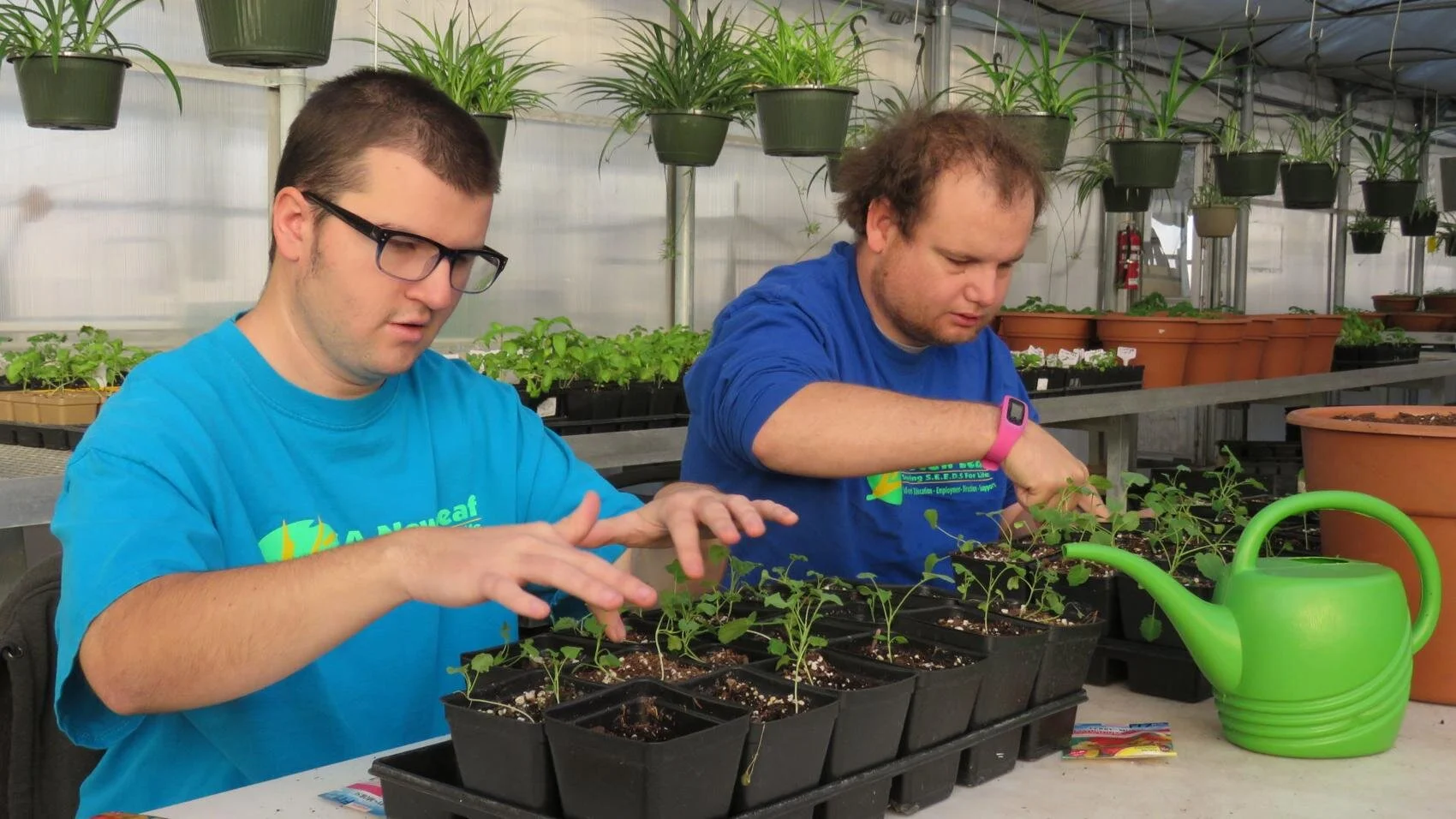 A New Leaf: Owasso drawing closer to seeing dirt move on largescale 'agrihood' for disabled adults