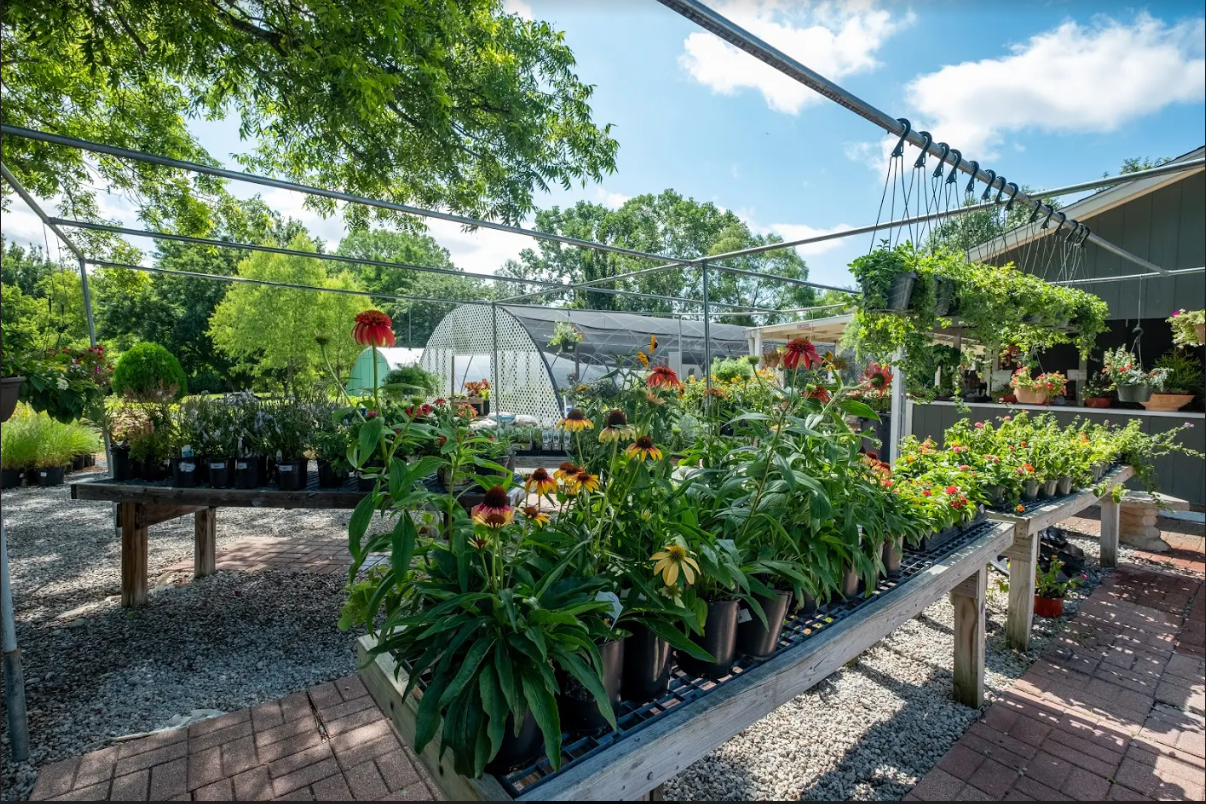 Sunny's Outlook: 8 Things To Do This Weekend!