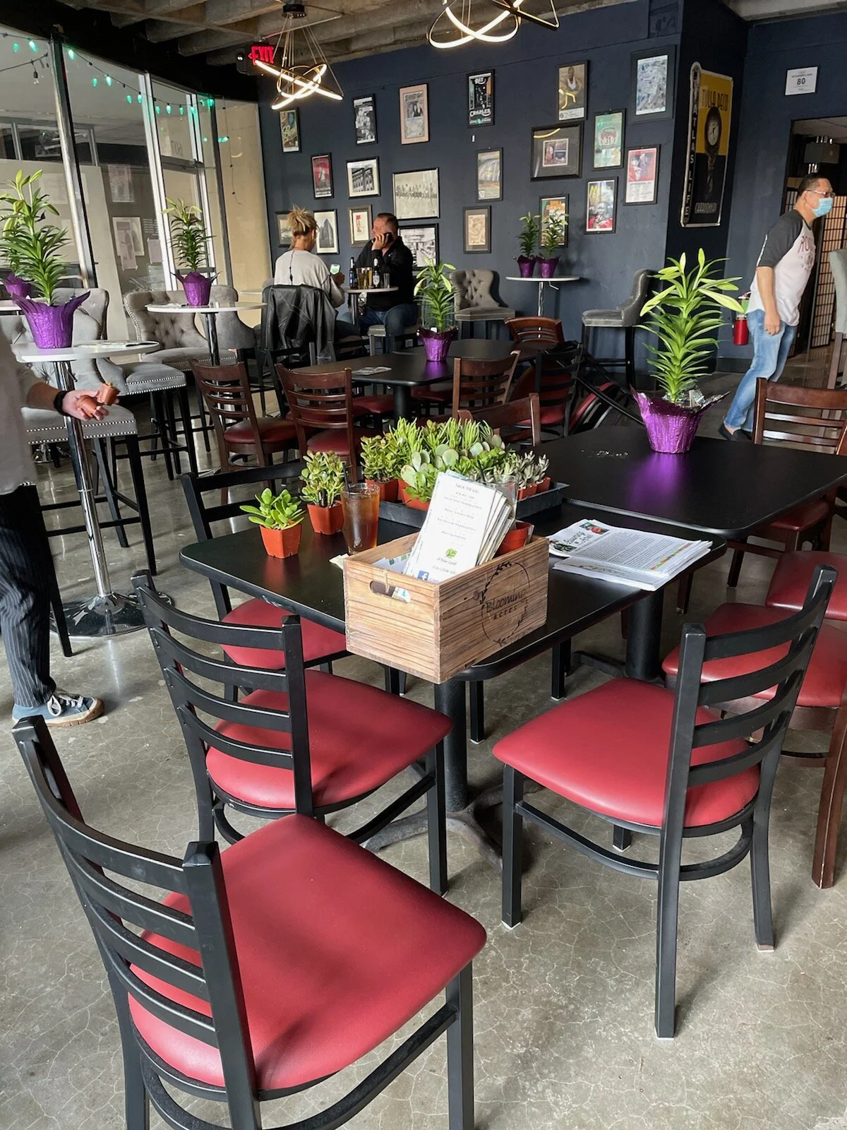 Support A New Leaf by taking part of the Planting Bar at Neff Brewing