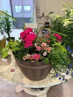 patio pot.jpg