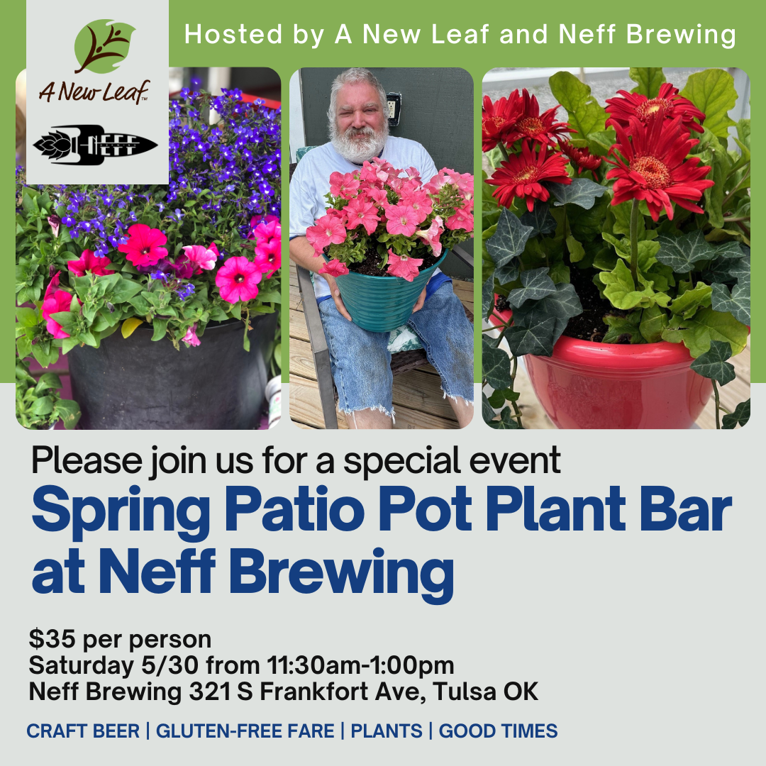 Spring Patio Pot Plant Bar at Neff Brewing